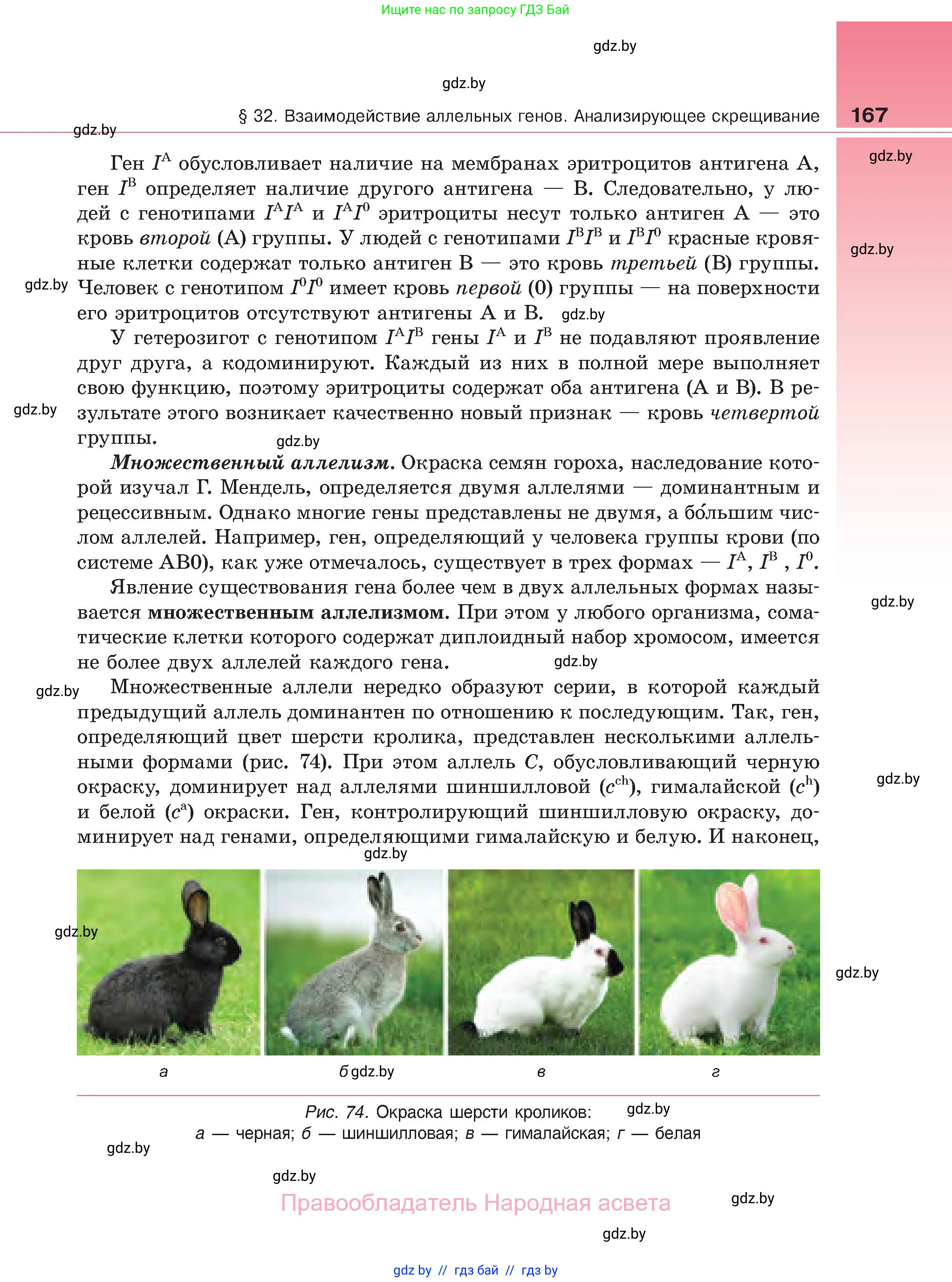 Биология, 11 класс Учебник, авторы: Дашков Максим Леонидович, Песнякевич Александр Георгиевич, Головач Алексей Михайлович, издательство Народная асвета, Минск, 2021, голубого цвета, страница 167