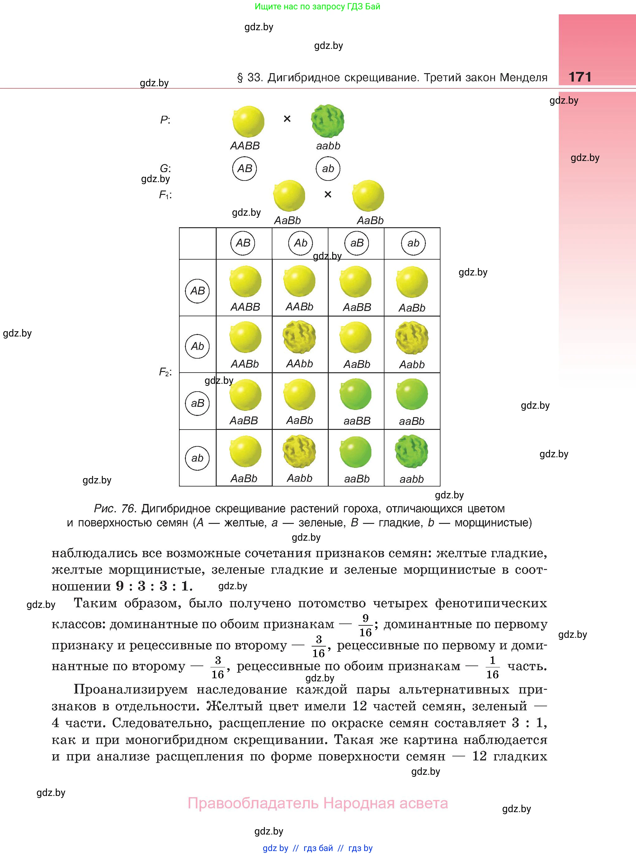 Биология, 11 класс Учебник, авторы: Дашков Максим Леонидович, Песнякевич Александр Георгиевич, Головач Алексей Михайлович, издательство Народная асвета, Минск, 2021, голубого цвета, страница 171