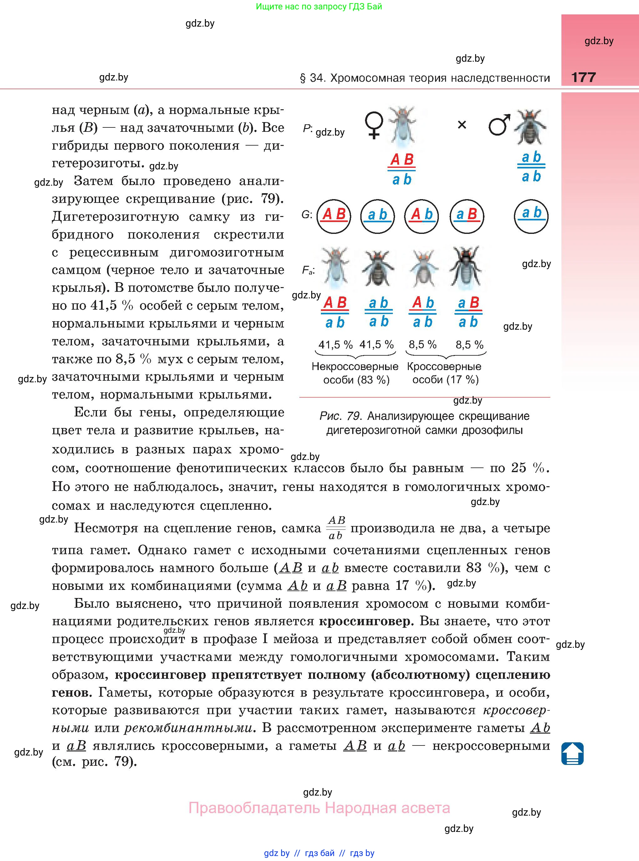 Биология, 11 класс Учебник, авторы: Дашков Максим Леонидович, Песнякевич Александр Георгиевич, Головач Алексей Михайлович, издательство Народная асвета, Минск, 2021, голубого цвета, страница 177