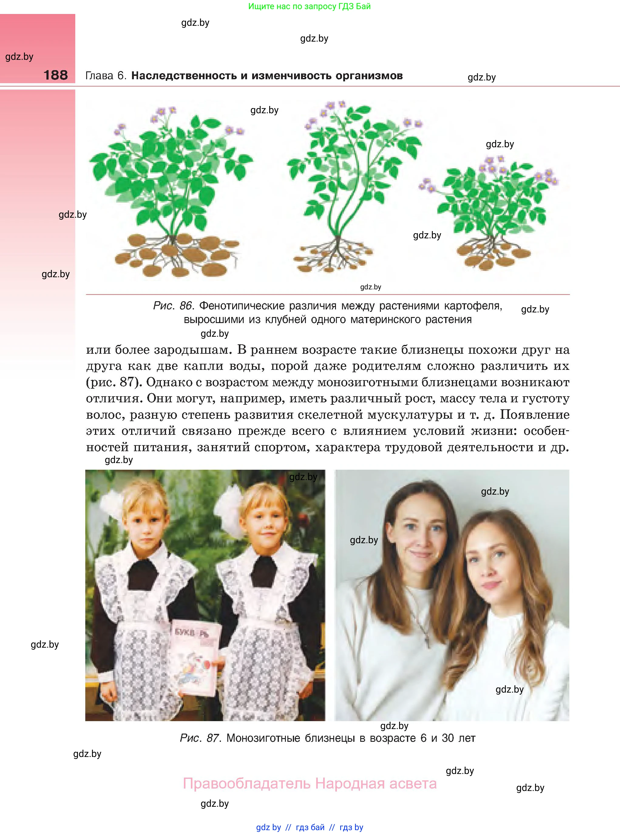 Биология, 11 класс Учебник, авторы: Дашков Максим Леонидович, Песнякевич Александр Георгиевич, Головач Алексей Михайлович, издательство Народная асвета, Минск, 2021, голубого цвета, страница 188
