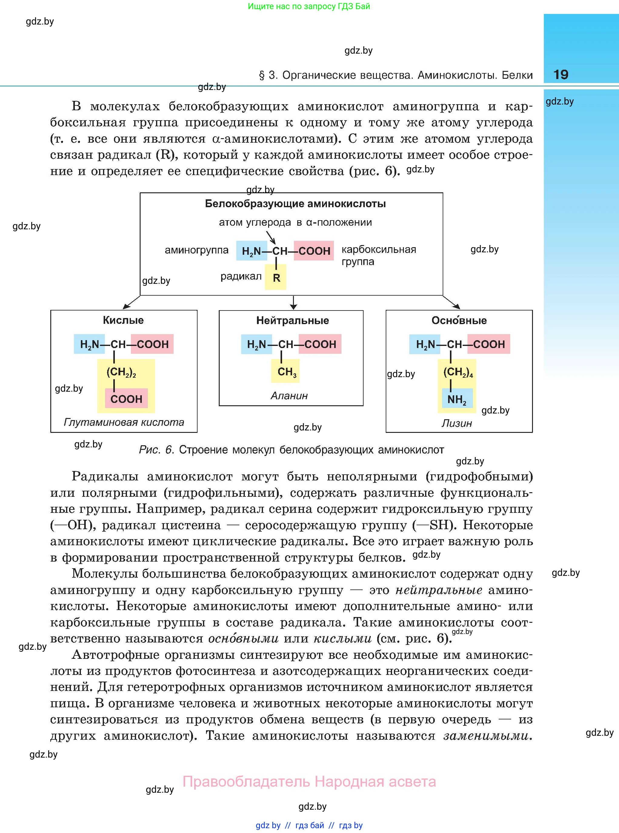 Биология, 11 класс Учебник, авторы: Дашков Максим Леонидович, Песнякевич Александр Георгиевич, Головач Алексей Михайлович, издательство Народная асвета, Минск, 2021, голубого цвета, страница 19