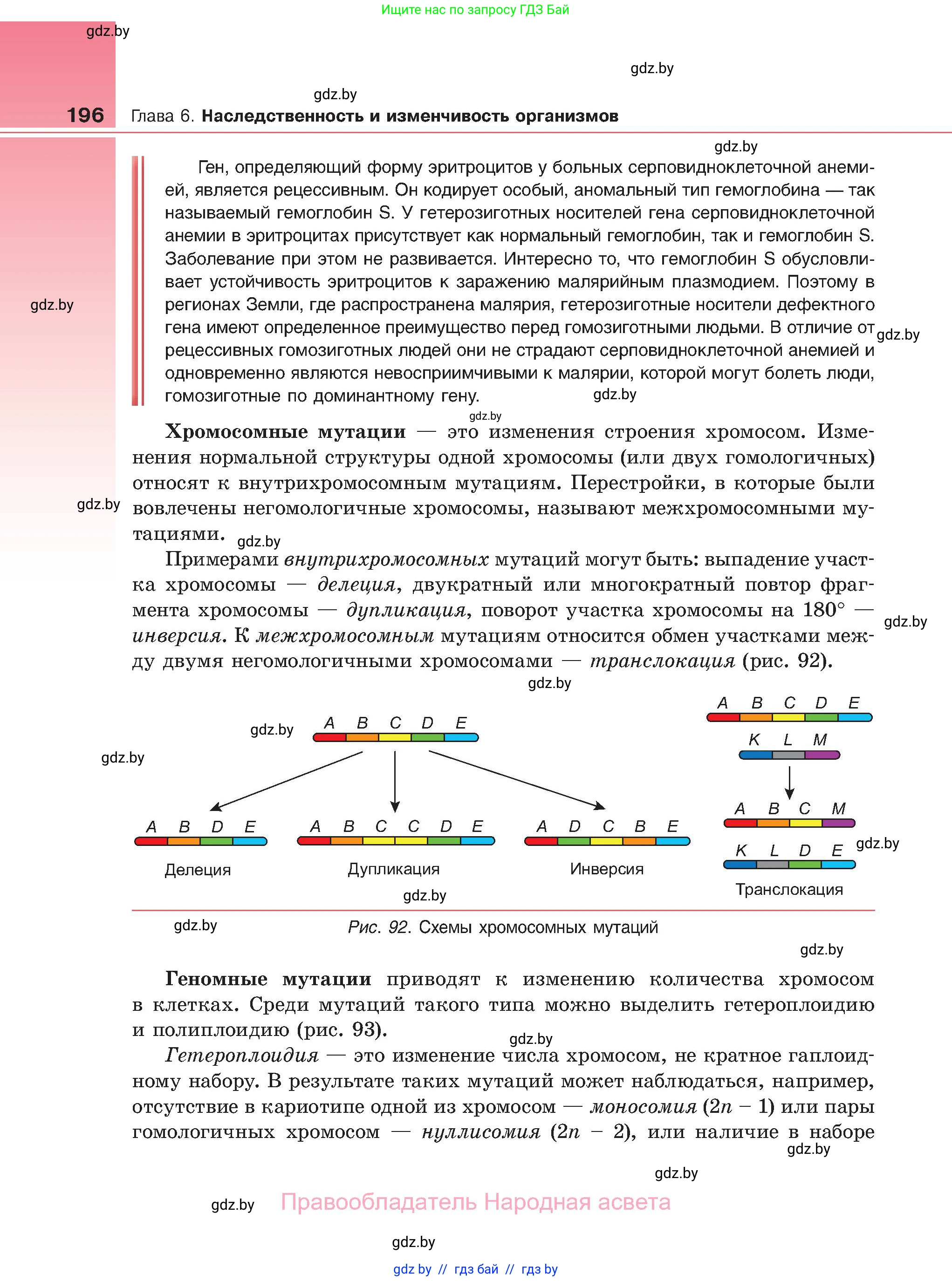 Биология, 11 класс Учебник, авторы: Дашков Максим Леонидович, Песнякевич Александр Георгиевич, Головач Алексей Михайлович, издательство Народная асвета, Минск, 2021, голубого цвета, страница 196