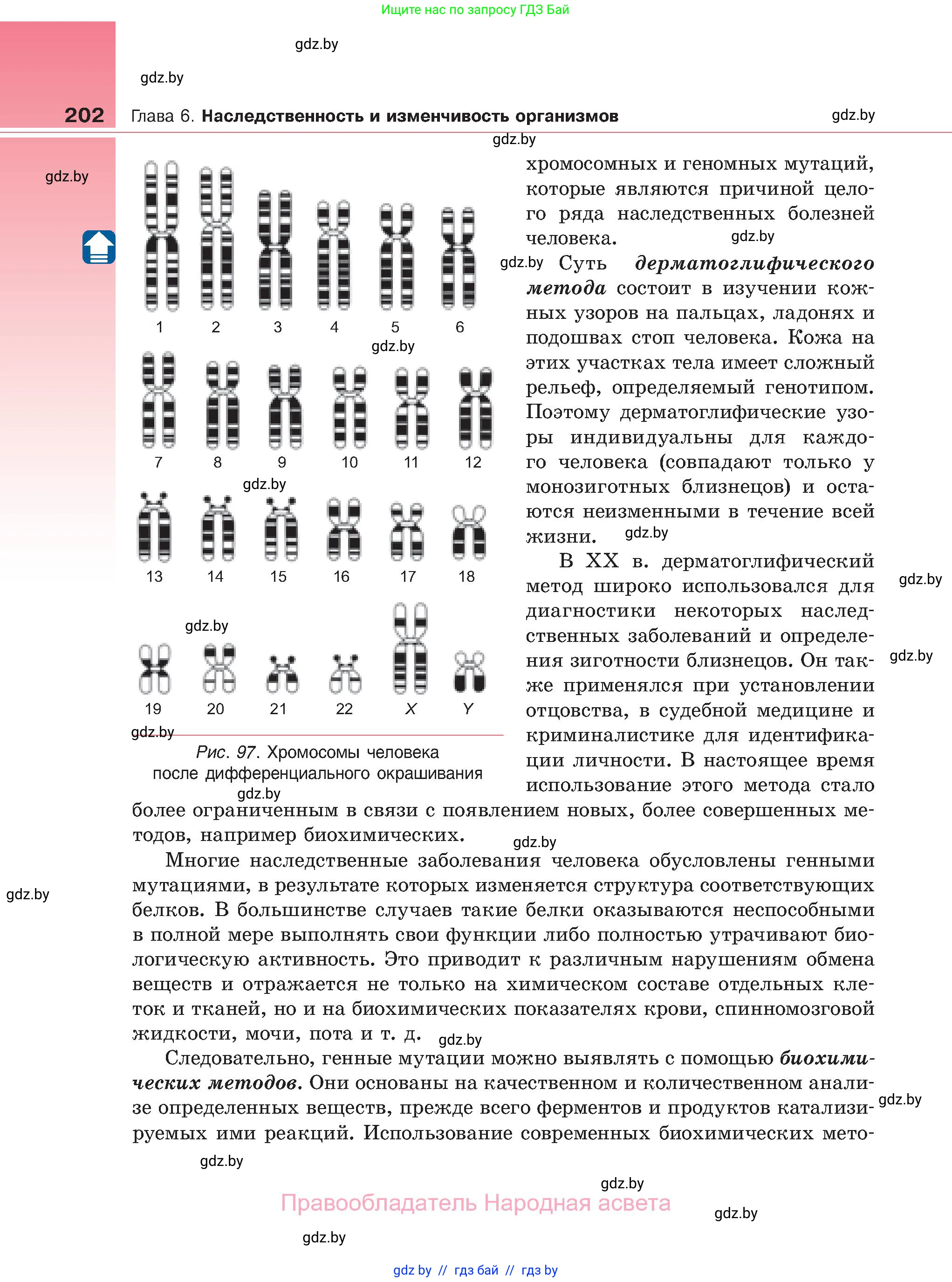Биология, 11 класс Учебник, авторы: Дашков Максим Леонидович, Песнякевич Александр Георгиевич, Головач Алексей Михайлович, издательство Народная асвета, Минск, 2021, голубого цвета, страница 202