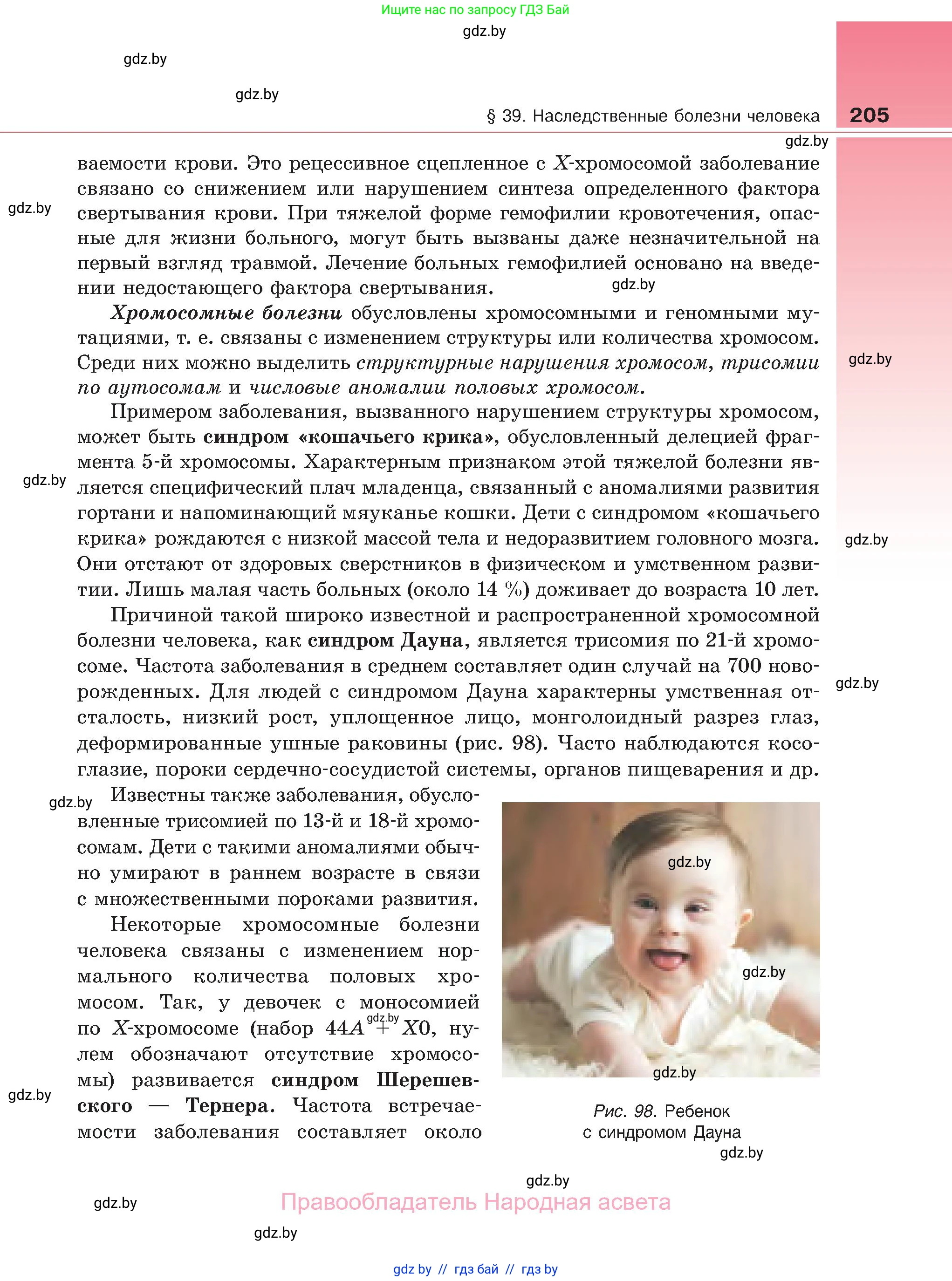 Биология, 11 класс Учебник, авторы: Дашков Максим Леонидович, Песнякевич Александр Георгиевич, Головач Алексей Михайлович, издательство Народная асвета, Минск, 2021, голубого цвета, страница 205
