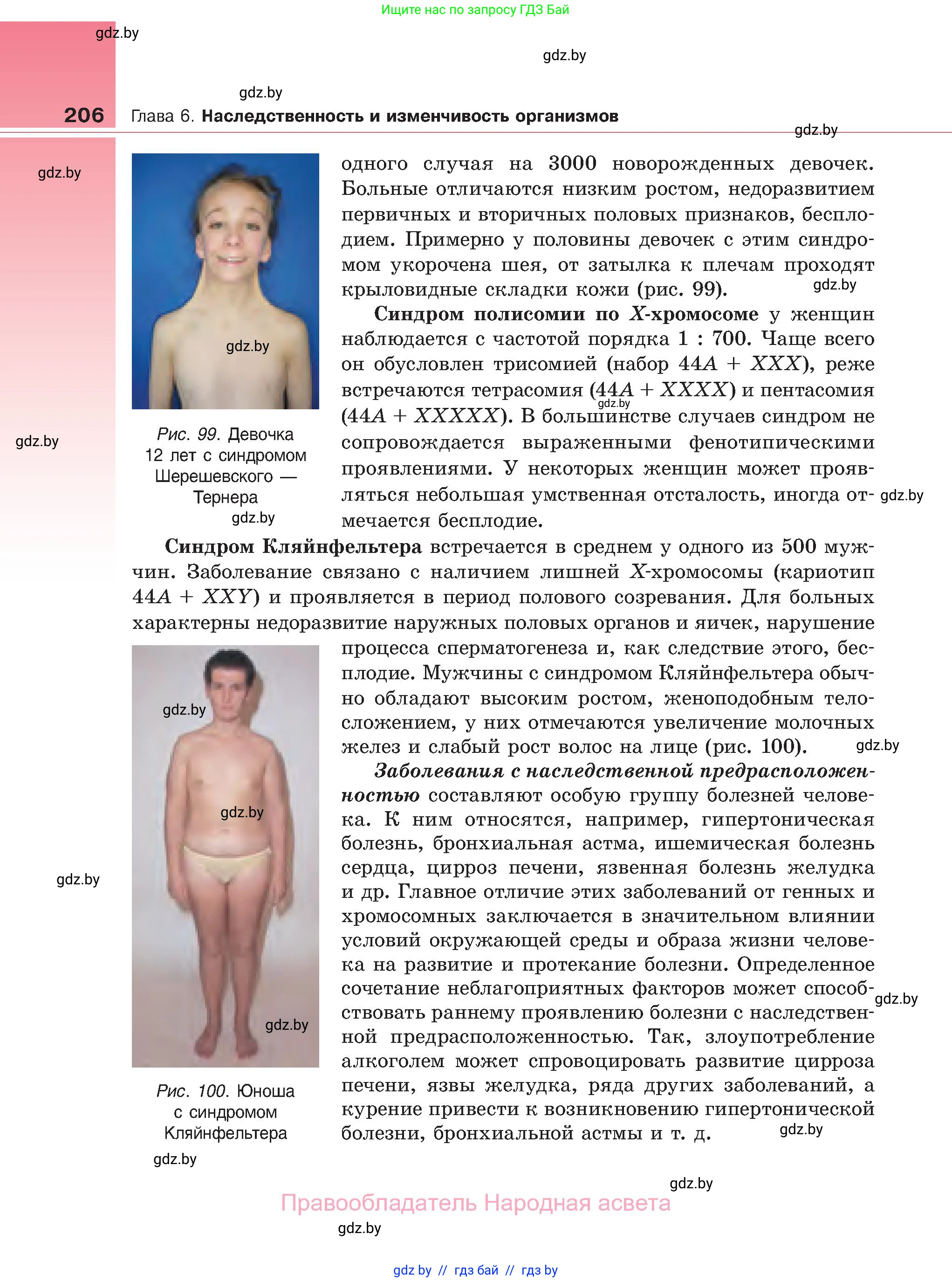 Биология, 11 класс Учебник, авторы: Дашков Максим Леонидович, Песнякевич Александр Георгиевич, Головач Алексей Михайлович, издательство Народная асвета, Минск, 2021, голубого цвета, страница 206