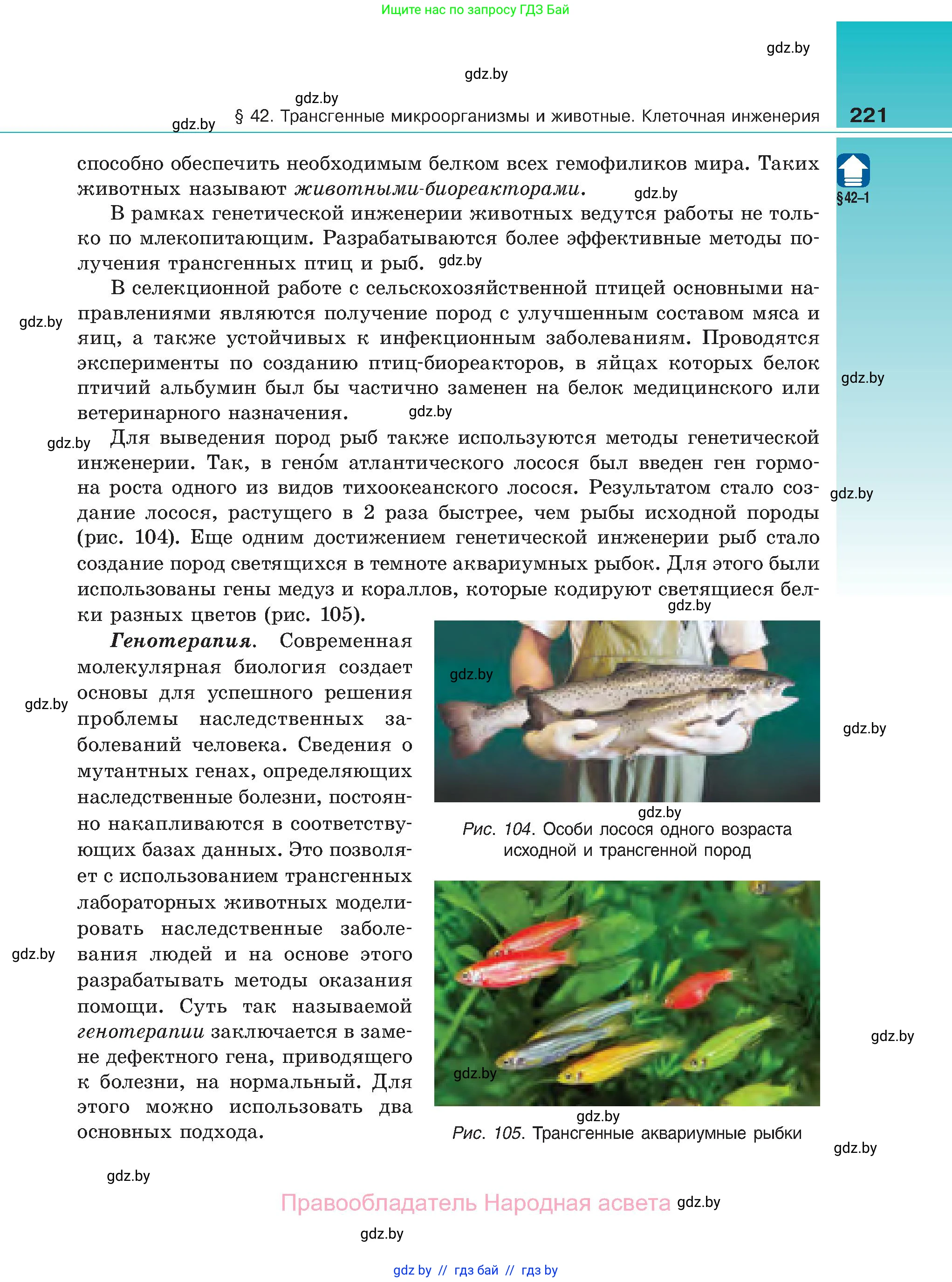 Биология, 11 класс Учебник, авторы: Дашков Максим Леонидович, Песнякевич Александр Георгиевич, Головач Алексей Михайлович, издательство Народная асвета, Минск, 2021, голубого цвета, страница 221