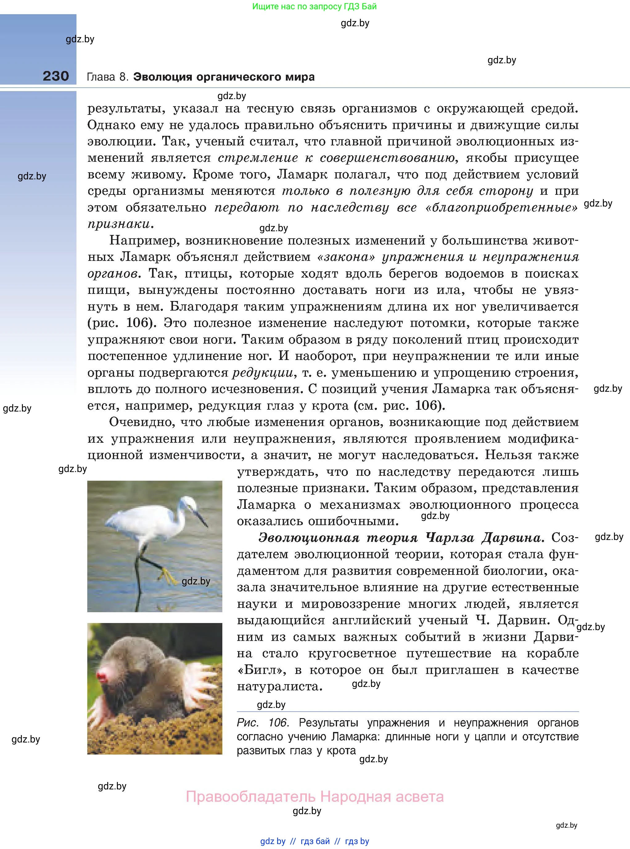 Биология, 11 класс Учебник, авторы: Дашков Максим Леонидович, Песнякевич Александр Георгиевич, Головач Алексей Михайлович, издательство Народная асвета, Минск, 2021, голубого цвета, страница 230