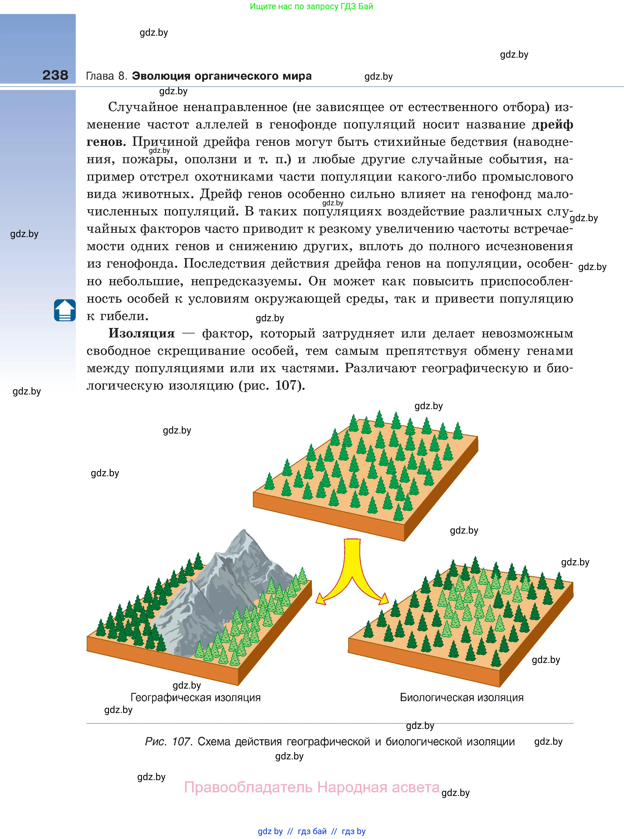 Биология, 11 класс Учебник, авторы: Дашков Максим Леонидович, Песнякевич Александр Георгиевич, Головач Алексей Михайлович, издательство Народная асвета, Минск, 2021, голубого цвета, страница 238