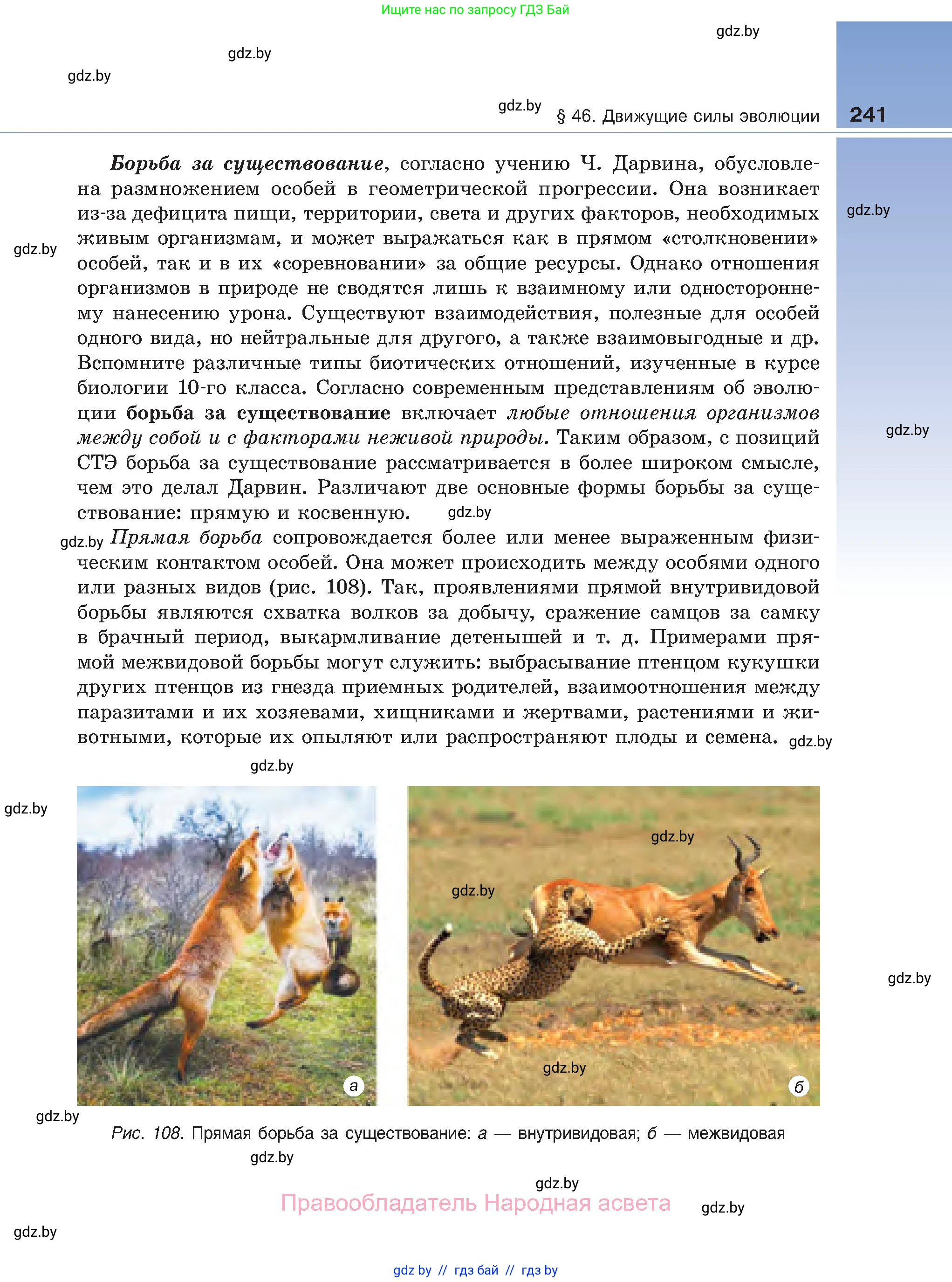 Биология, 11 класс Учебник, авторы: Дашков Максим Леонидович, Песнякевич Александр Георгиевич, Головач Алексей Михайлович, издательство Народная асвета, Минск, 2021, голубого цвета, страница 241
