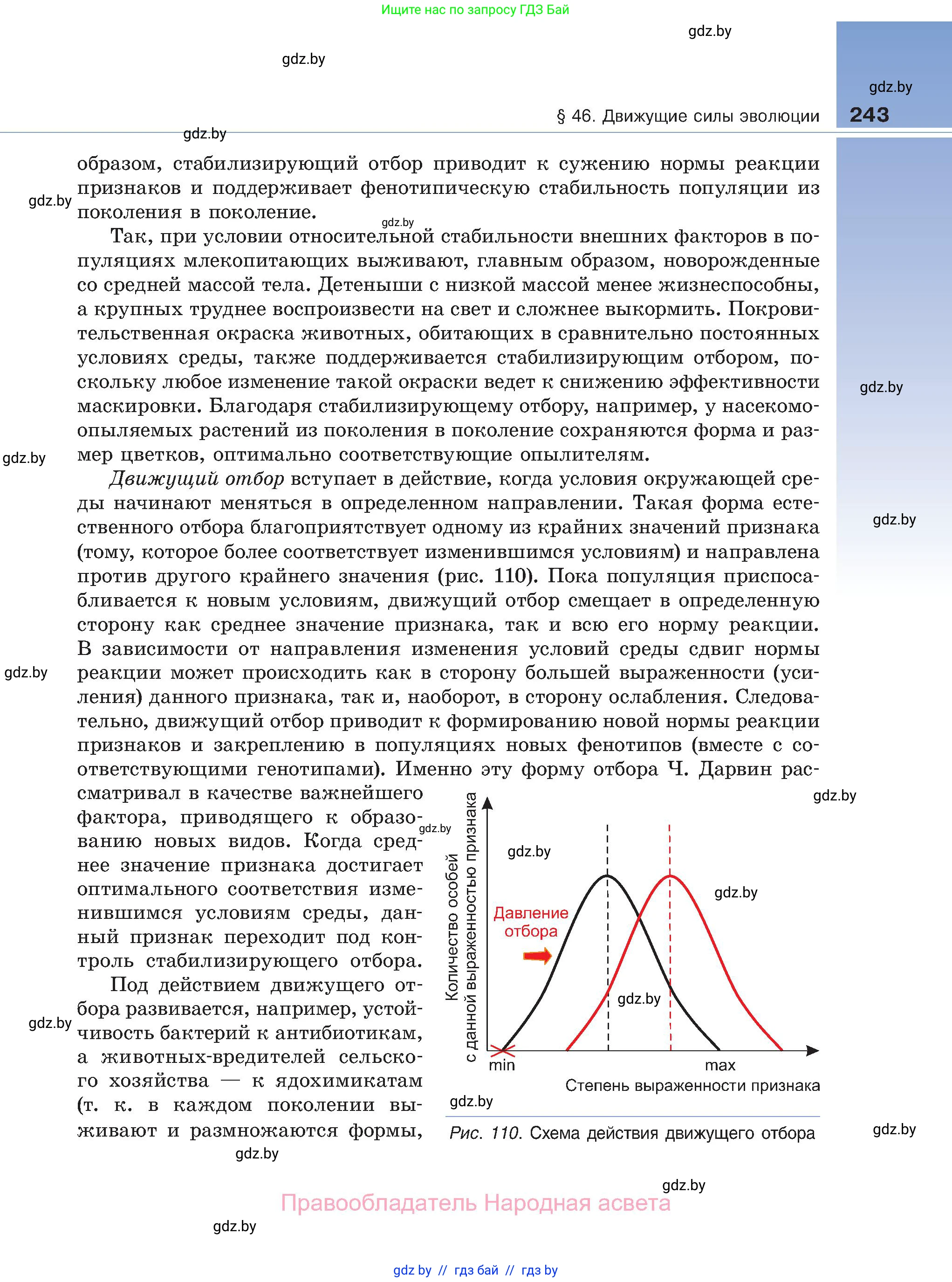 Биология, 11 класс Учебник, авторы: Дашков Максим Леонидович, Песнякевич Александр Георгиевич, Головач Алексей Михайлович, издательство Народная асвета, Минск, 2021, голубого цвета, страница 243
