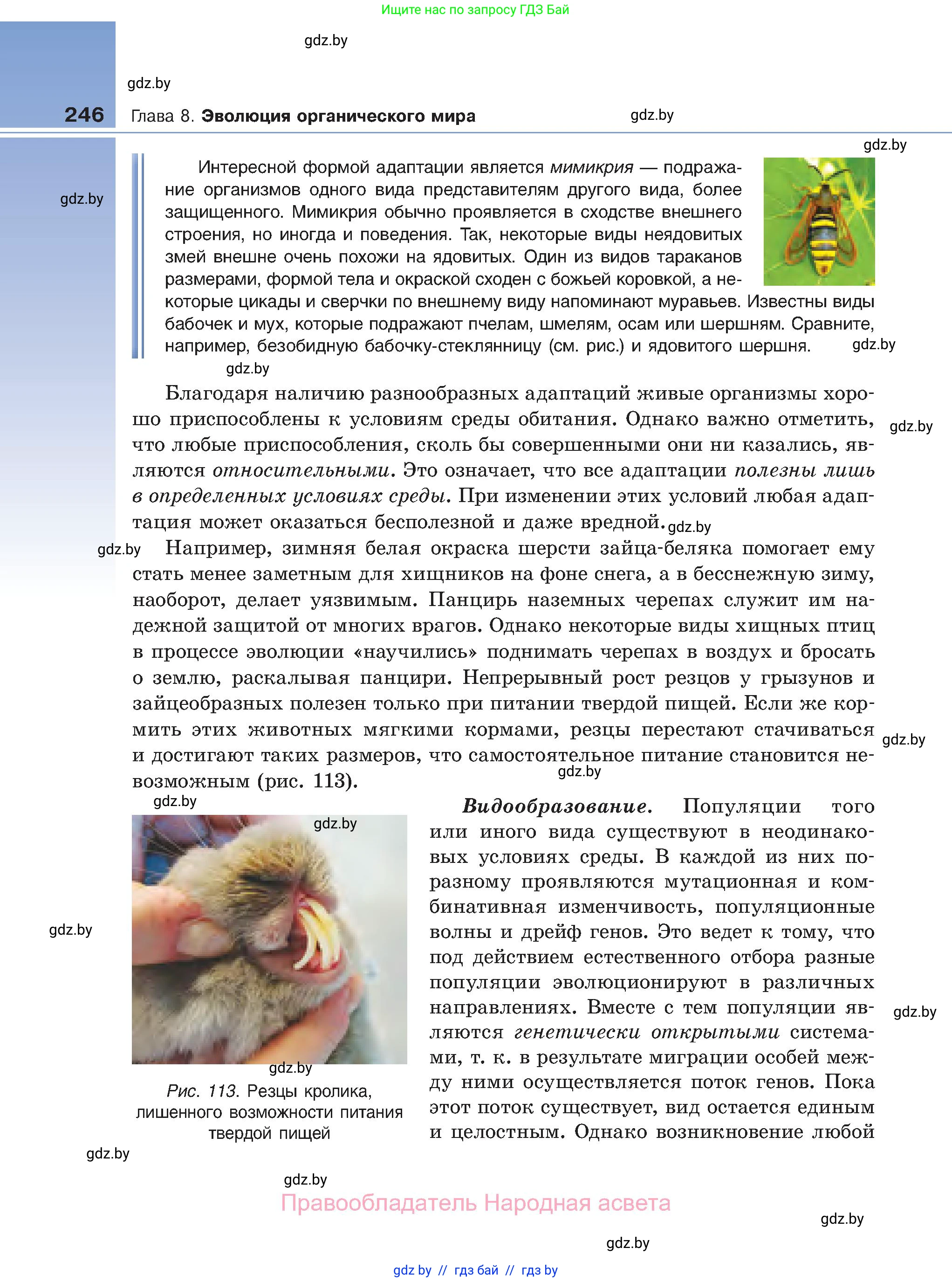 Биология, 11 класс Учебник, авторы: Дашков Максим Леонидович, Песнякевич Александр Георгиевич, Головач Алексей Михайлович, издательство Народная асвета, Минск, 2021, голубого цвета, страница 246