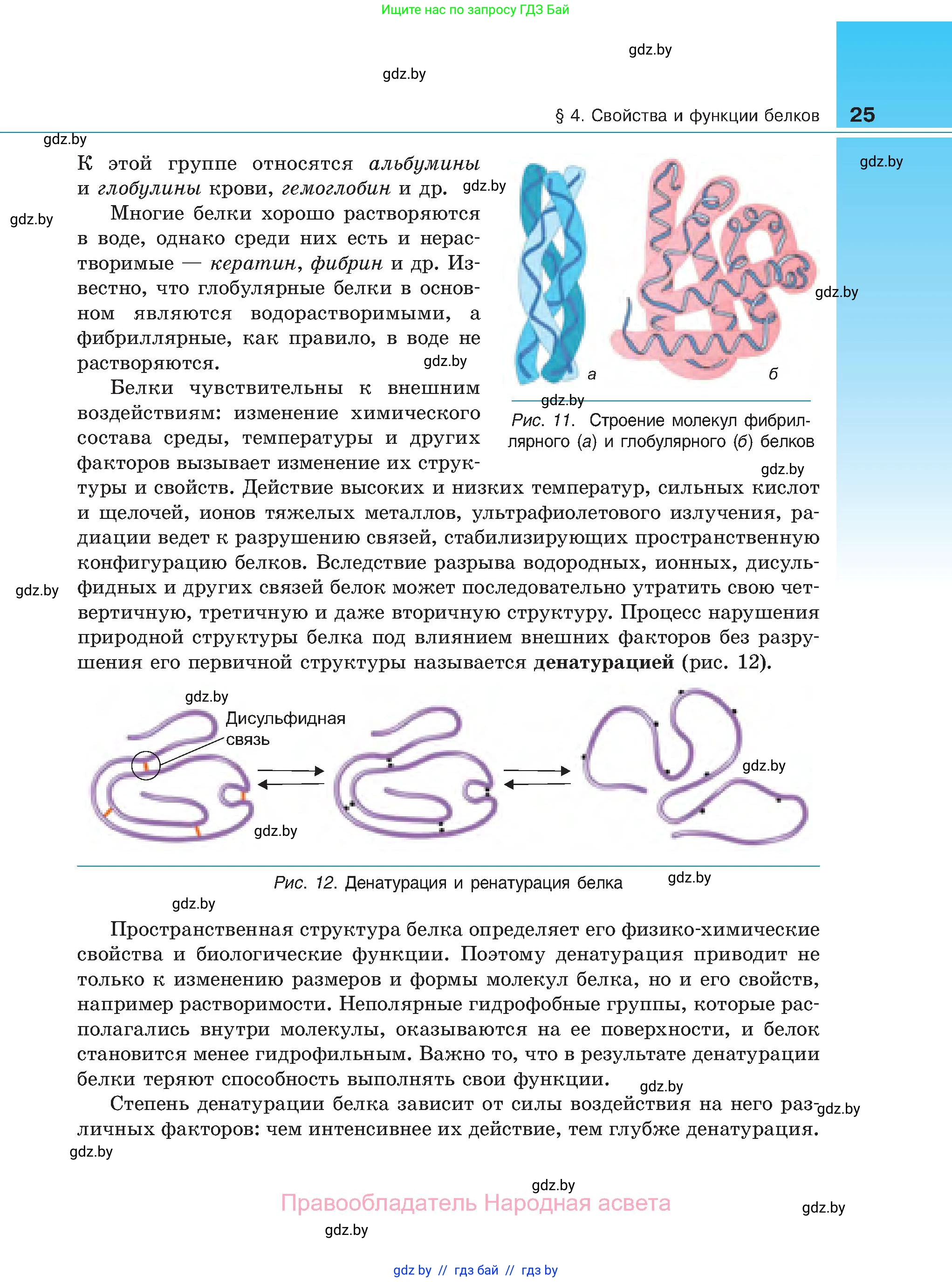 Биология, 11 класс Учебник, авторы: Дашков Максим Леонидович, Песнякевич Александр Георгиевич, Головач Алексей Михайлович, издательство Народная асвета, Минск, 2021, голубого цвета, страница 25