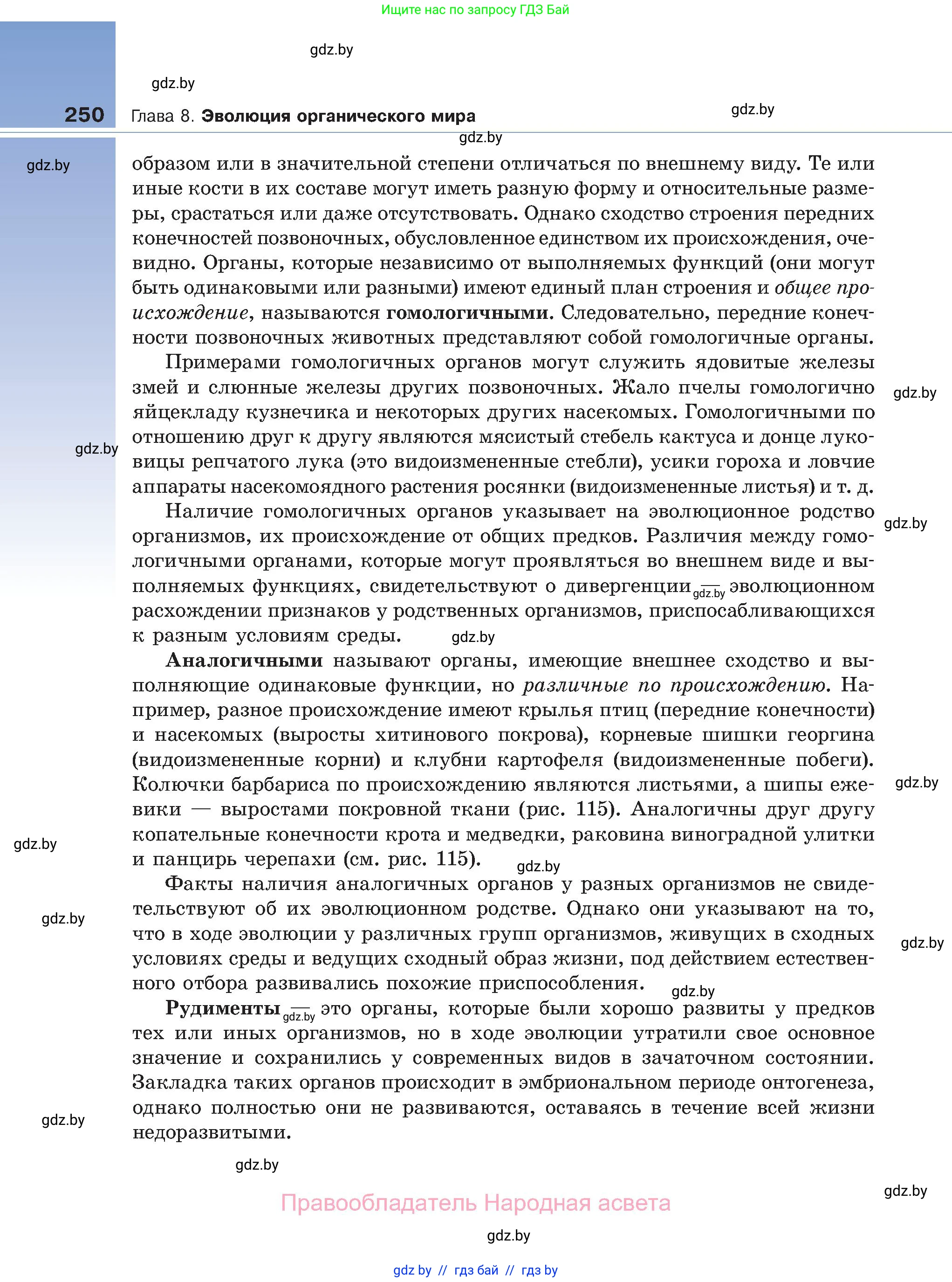 Биология, 11 класс Учебник, авторы: Дашков Максим Леонидович, Песнякевич Александр Георгиевич, Головач Алексей Михайлович, издательство Народная асвета, Минск, 2021, голубого цвета, страница 250