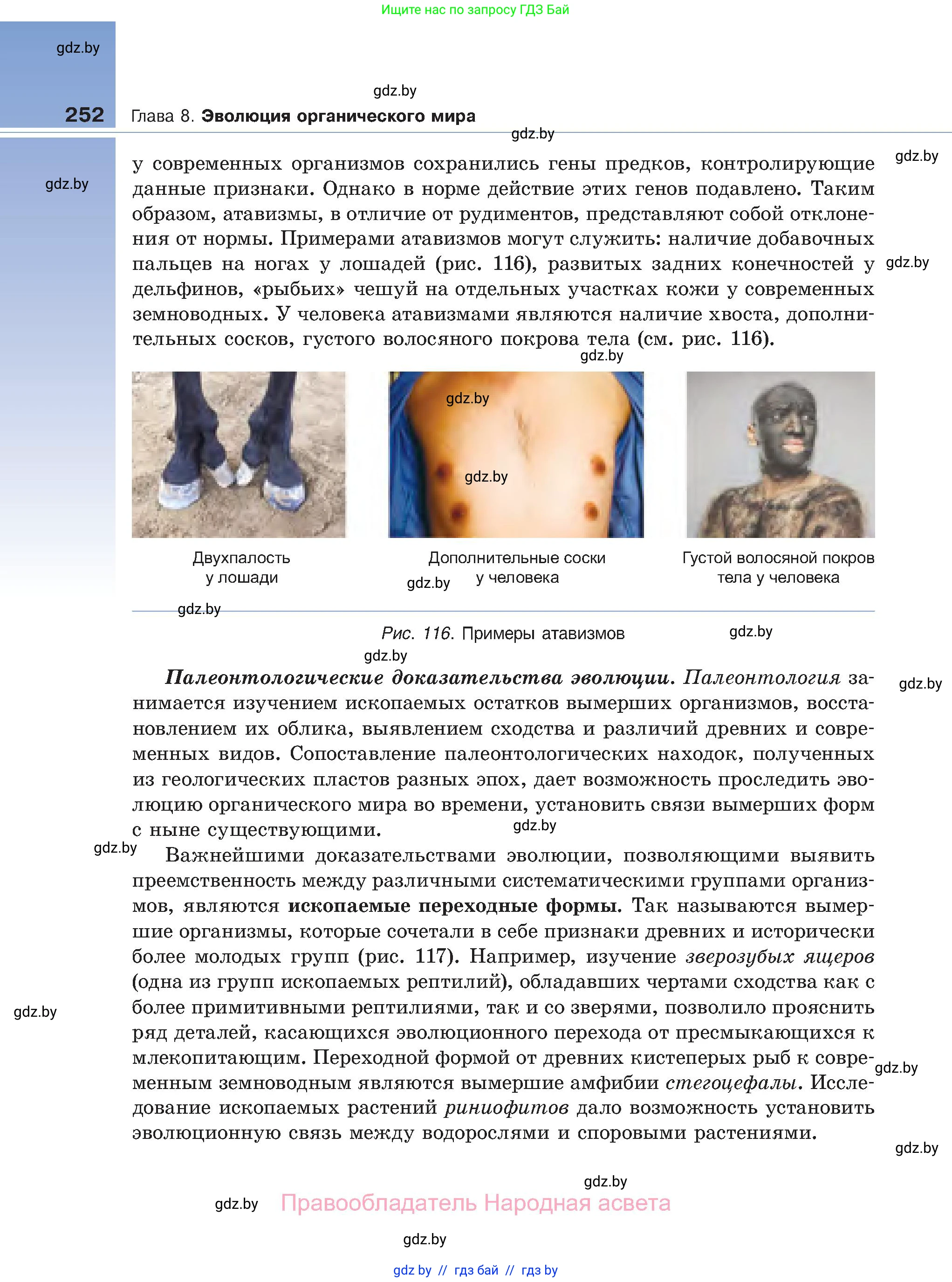 Биология, 11 класс Учебник, авторы: Дашков Максим Леонидович, Песнякевич Александр Георгиевич, Головач Алексей Михайлович, издательство Народная асвета, Минск, 2021, голубого цвета, страница 252