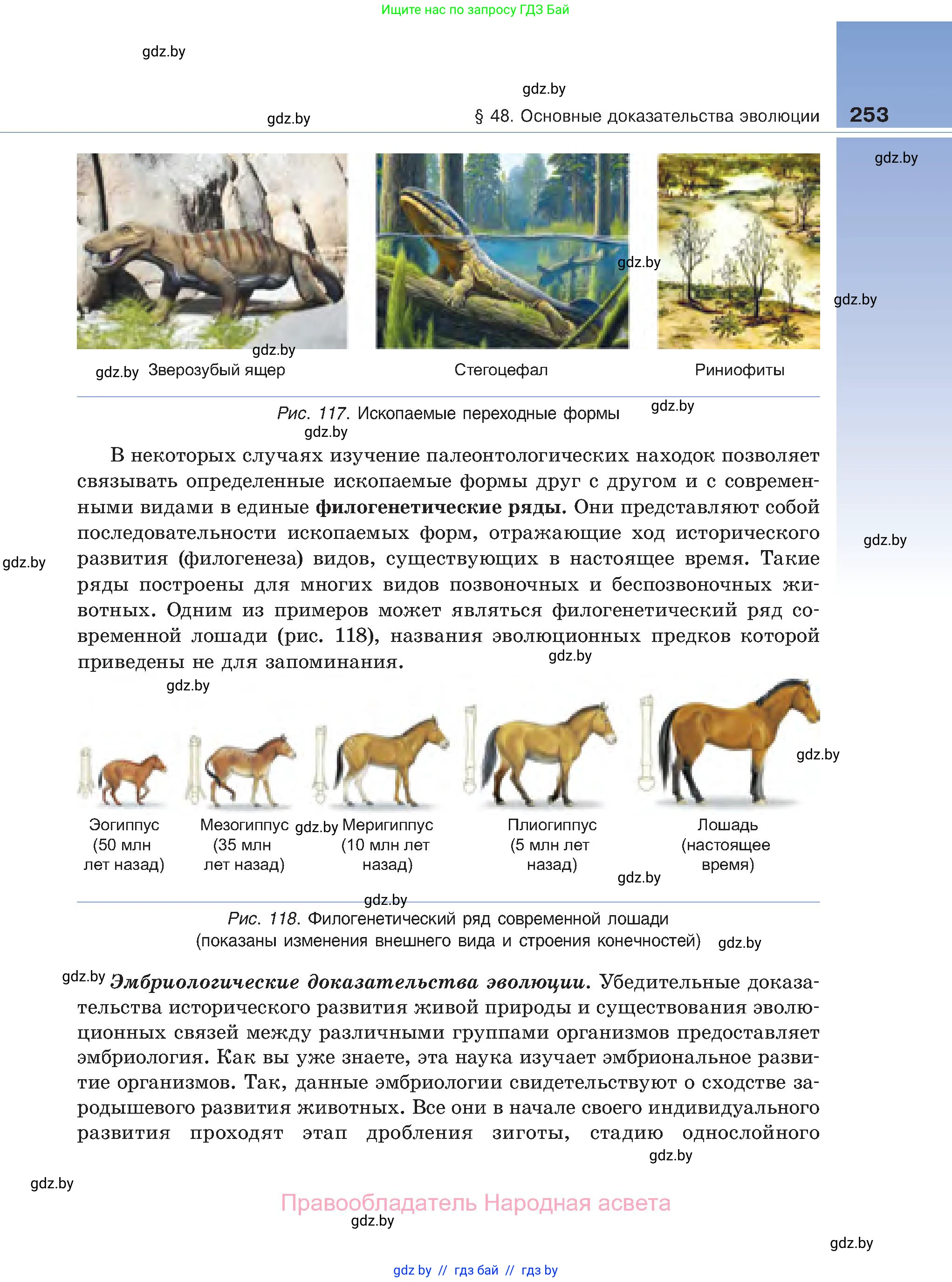 Биология, 11 класс Учебник, авторы: Дашков Максим Леонидович, Песнякевич Александр Георгиевич, Головач Алексей Михайлович, издательство Народная асвета, Минск, 2021, голубого цвета, страница 253