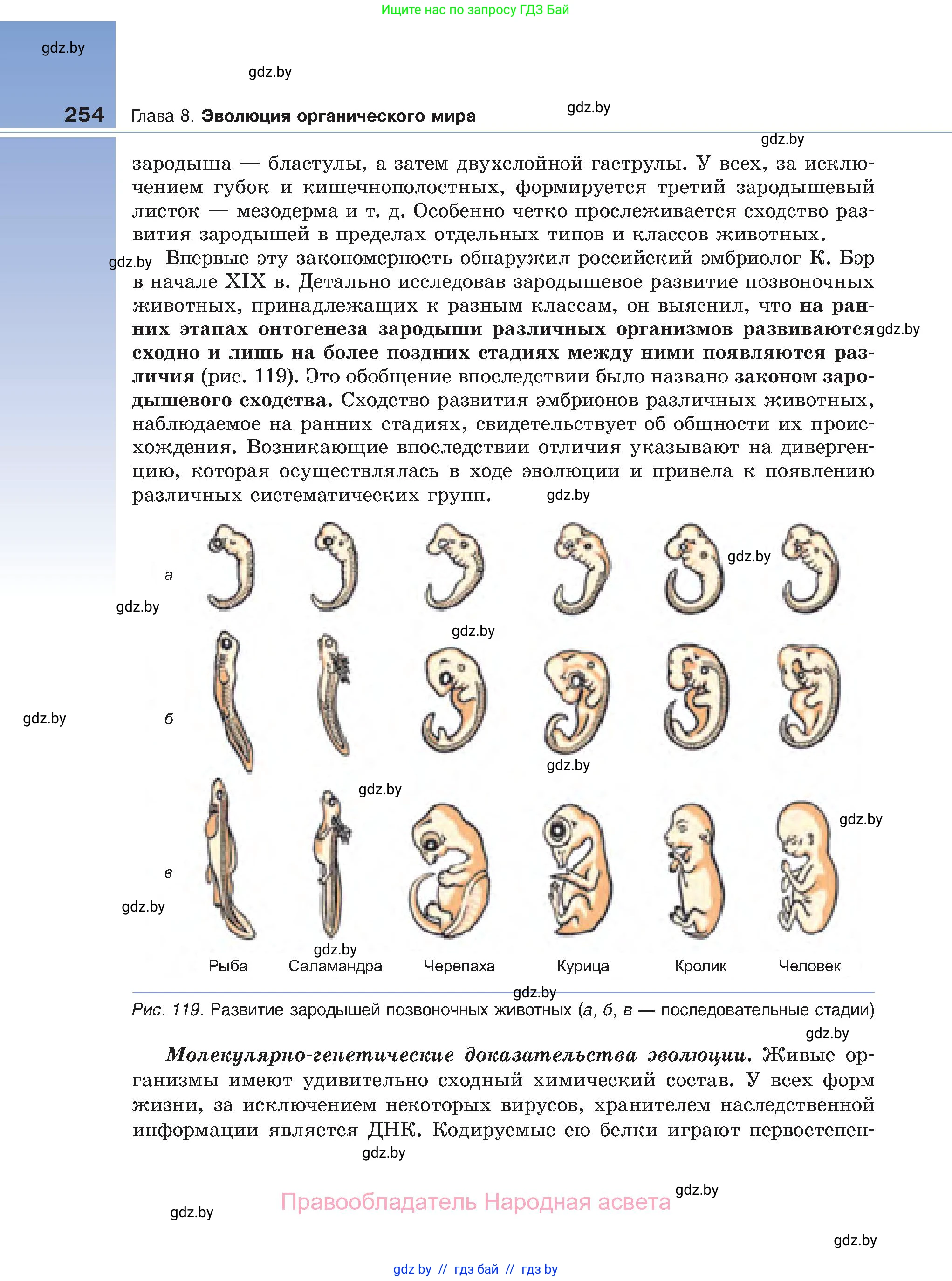 Биология, 11 класс Учебник, авторы: Дашков Максим Леонидович, Песнякевич Александр Георгиевич, Головач Алексей Михайлович, издательство Народная асвета, Минск, 2021, голубого цвета, страница 254