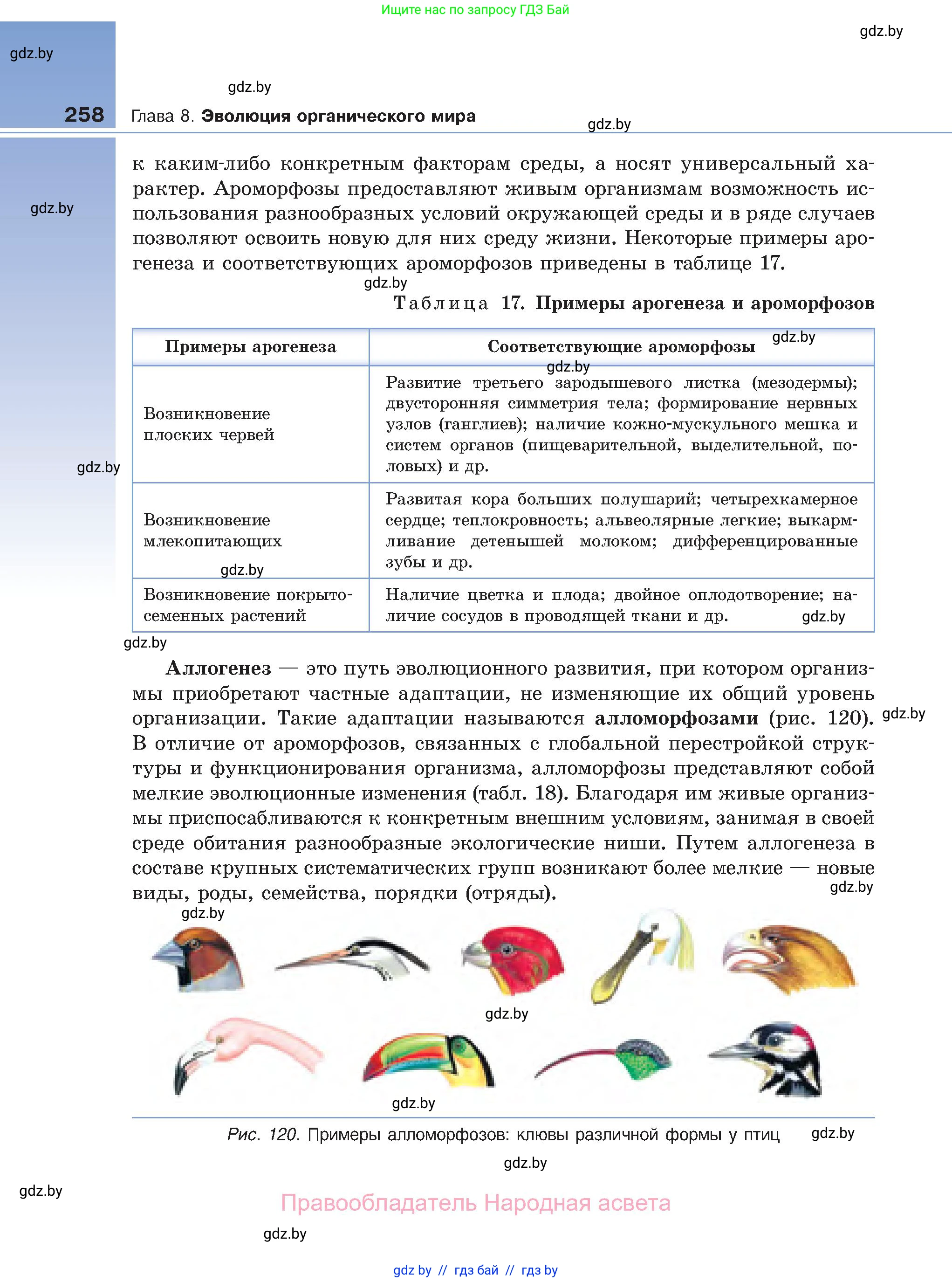 Биология, 11 класс Учебник, авторы: Дашков Максим Леонидович, Песнякевич Александр Георгиевич, Головач Алексей Михайлович, издательство Народная асвета, Минск, 2021, голубого цвета, страница 258
