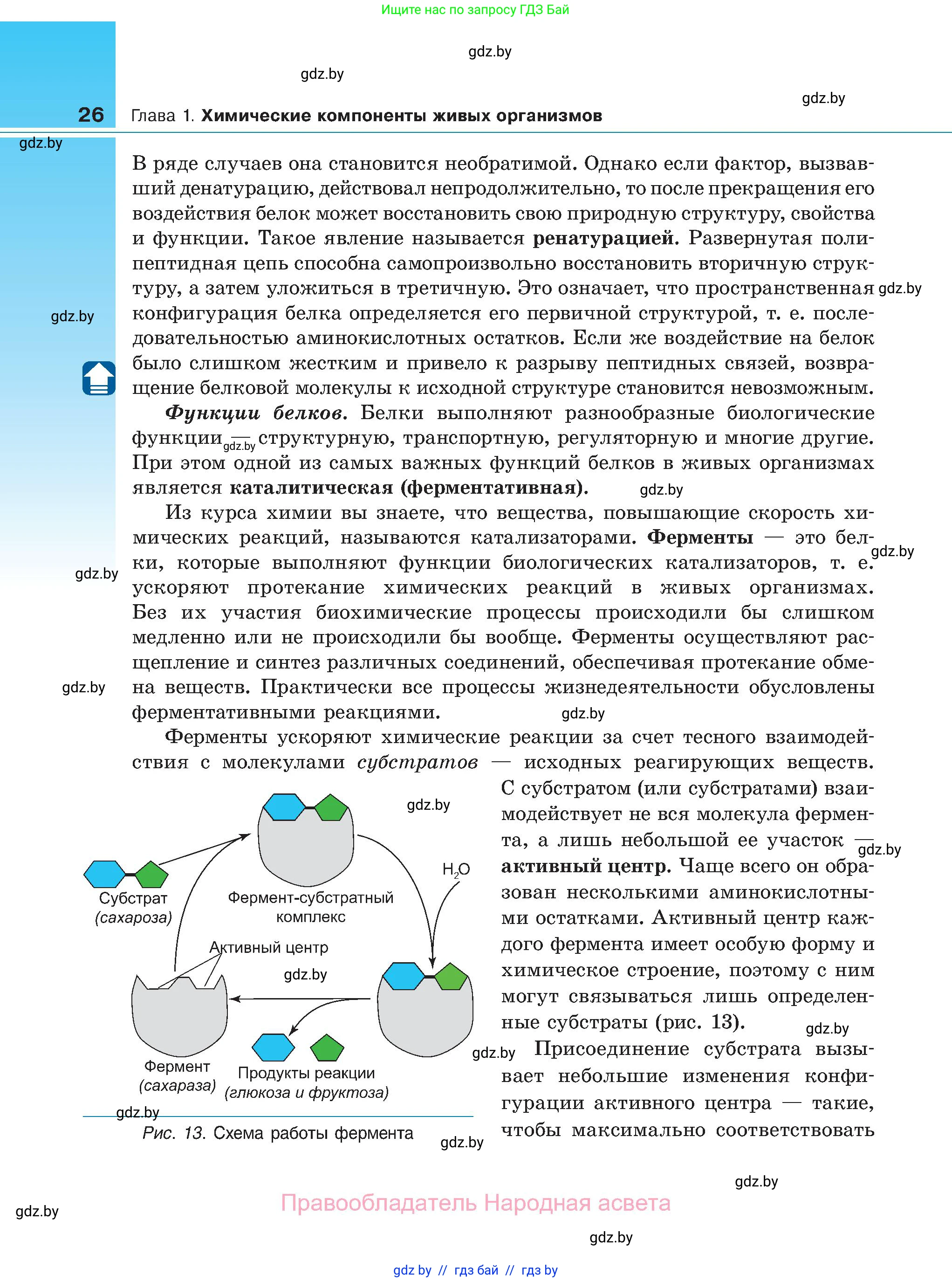 Биология, 11 класс Учебник, авторы: Дашков Максим Леонидович, Песнякевич Александр Георгиевич, Головач Алексей Михайлович, издательство Народная асвета, Минск, 2021, голубого цвета, страница 26