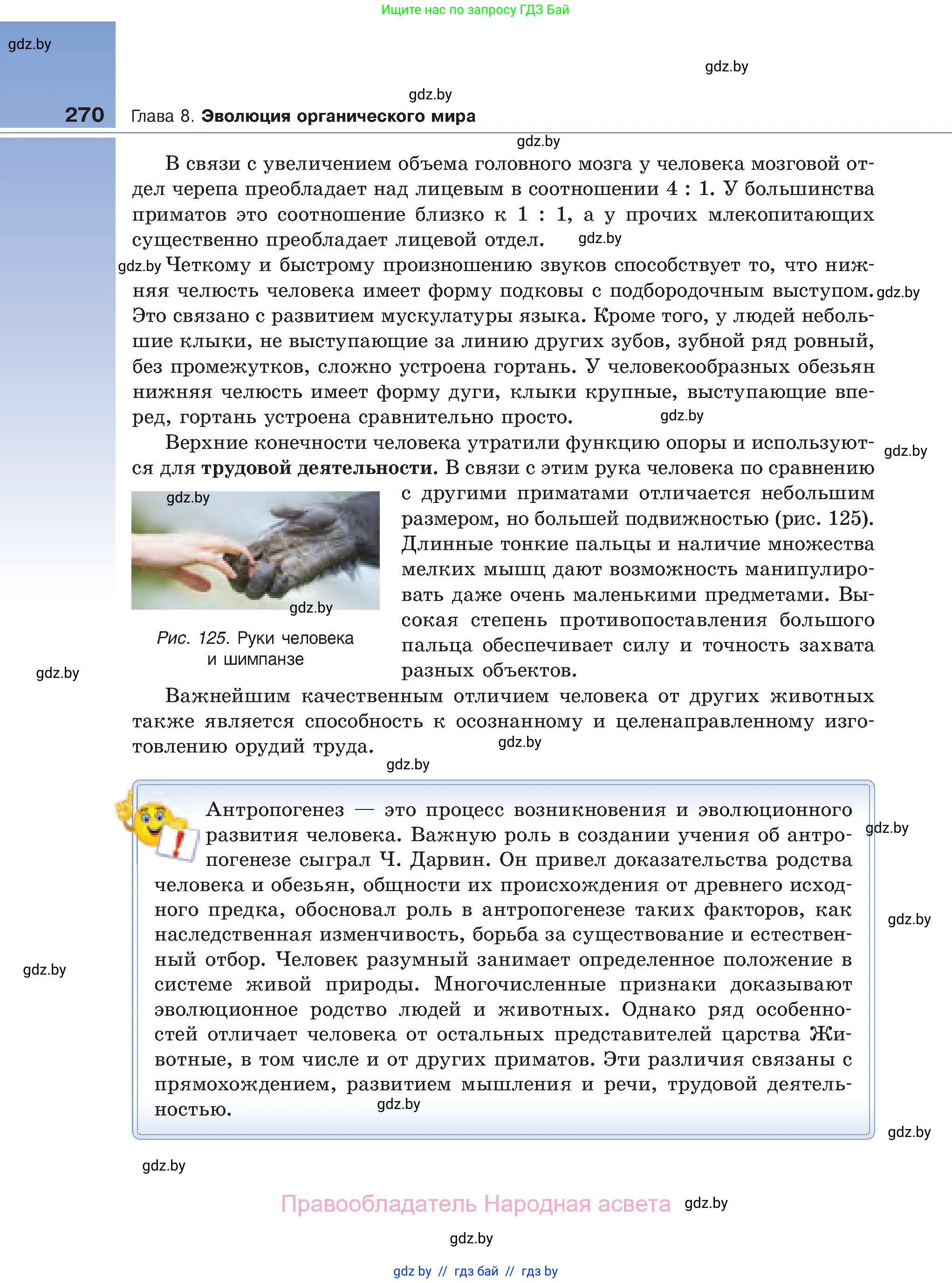 Биология, 11 класс Учебник, авторы: Дашков Максим Леонидович, Песнякевич Александр Георгиевич, Головач Алексей Михайлович, издательство Народная асвета, Минск, 2021, голубого цвета, страница 270