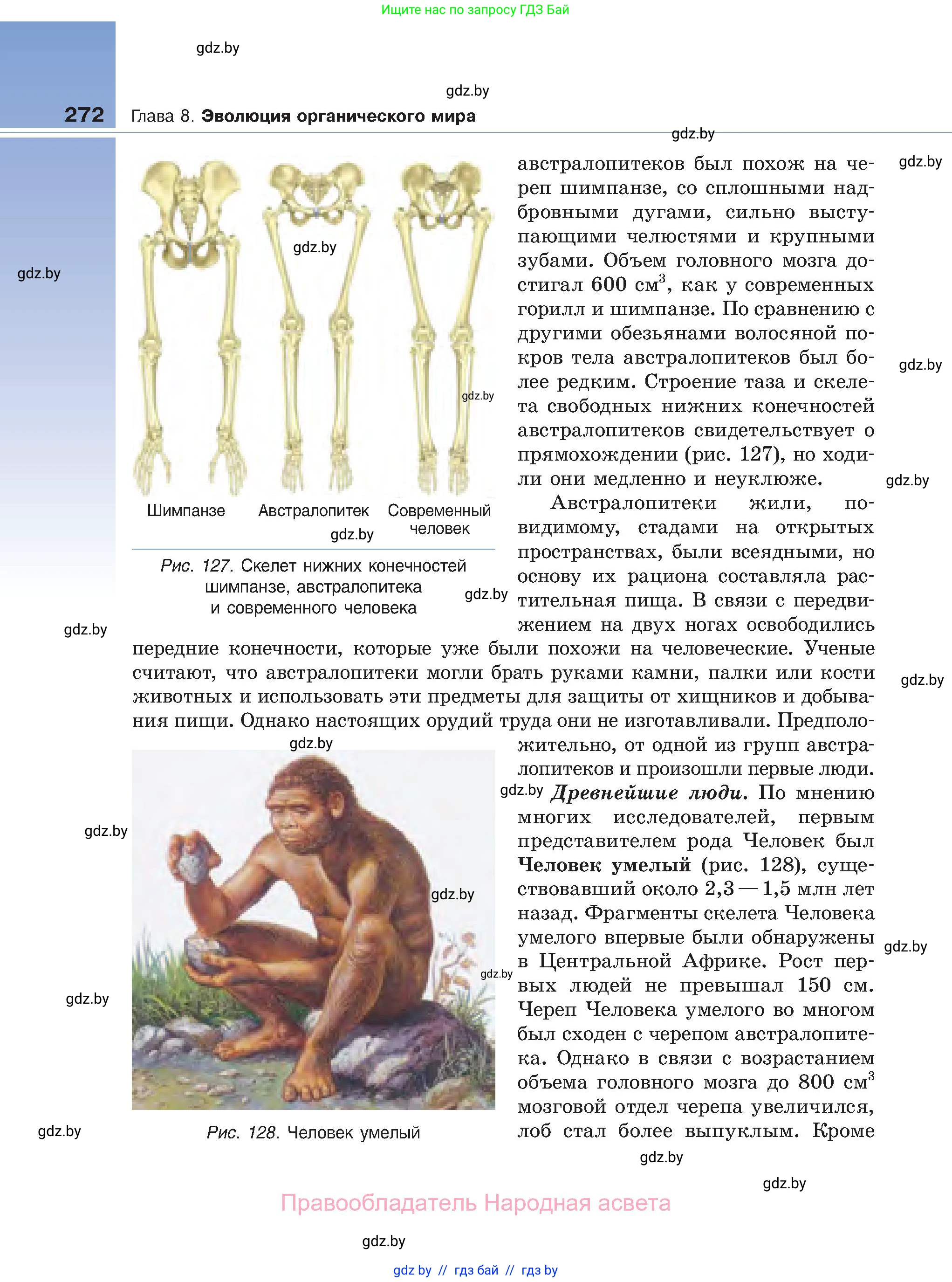 Биология, 11 класс Учебник, авторы: Дашков Максим Леонидович, Песнякевич Александр Георгиевич, Головач Алексей Михайлович, издательство Народная асвета, Минск, 2021, голубого цвета, страница 272