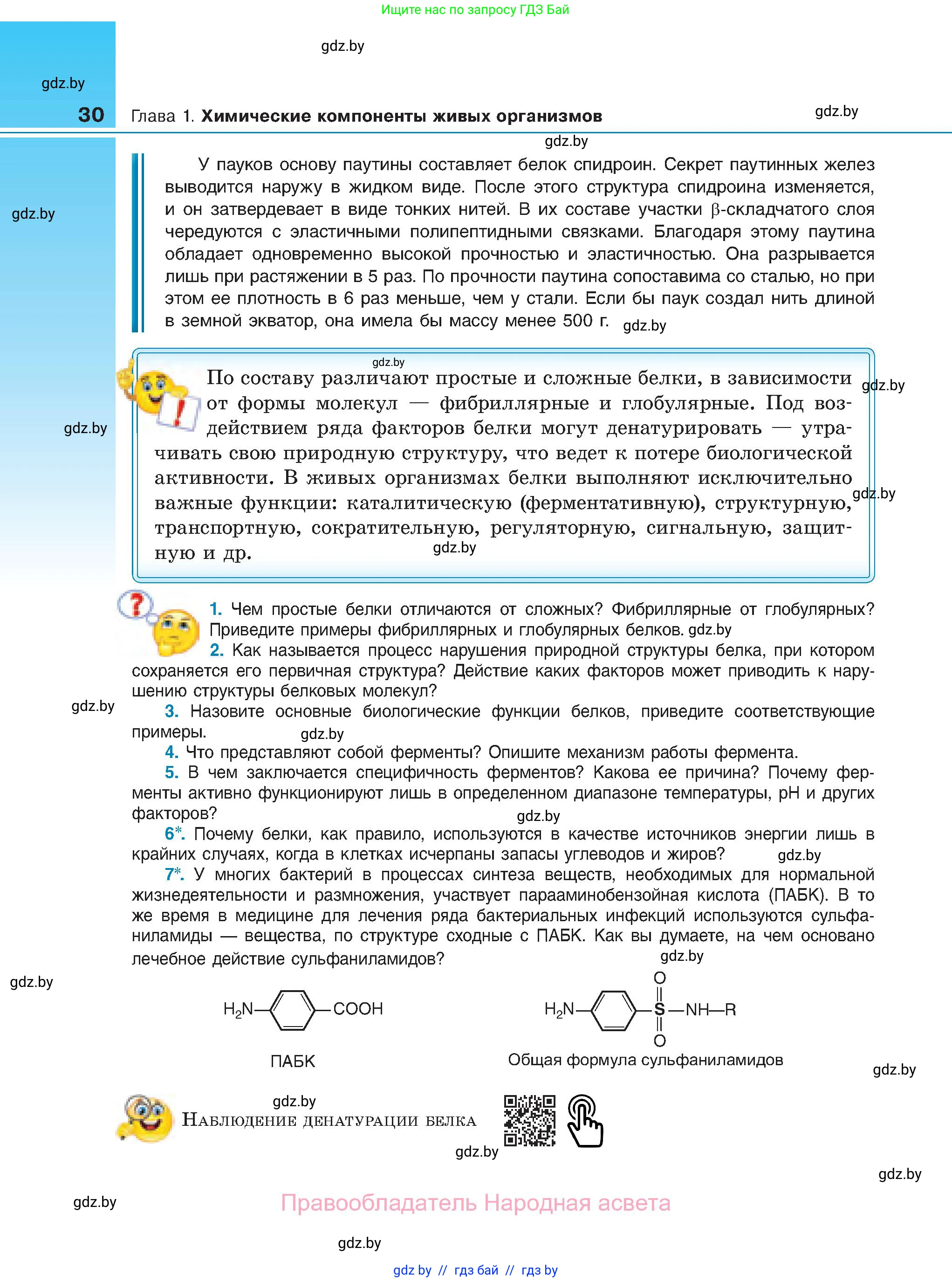 Биология, 11 класс Учебник, авторы: Дашков Максим Леонидович, Песнякевич Александр Георгиевич, Головач Алексей Михайлович, издательство Народная асвета, Минск, 2021, голубого цвета, страница 30
