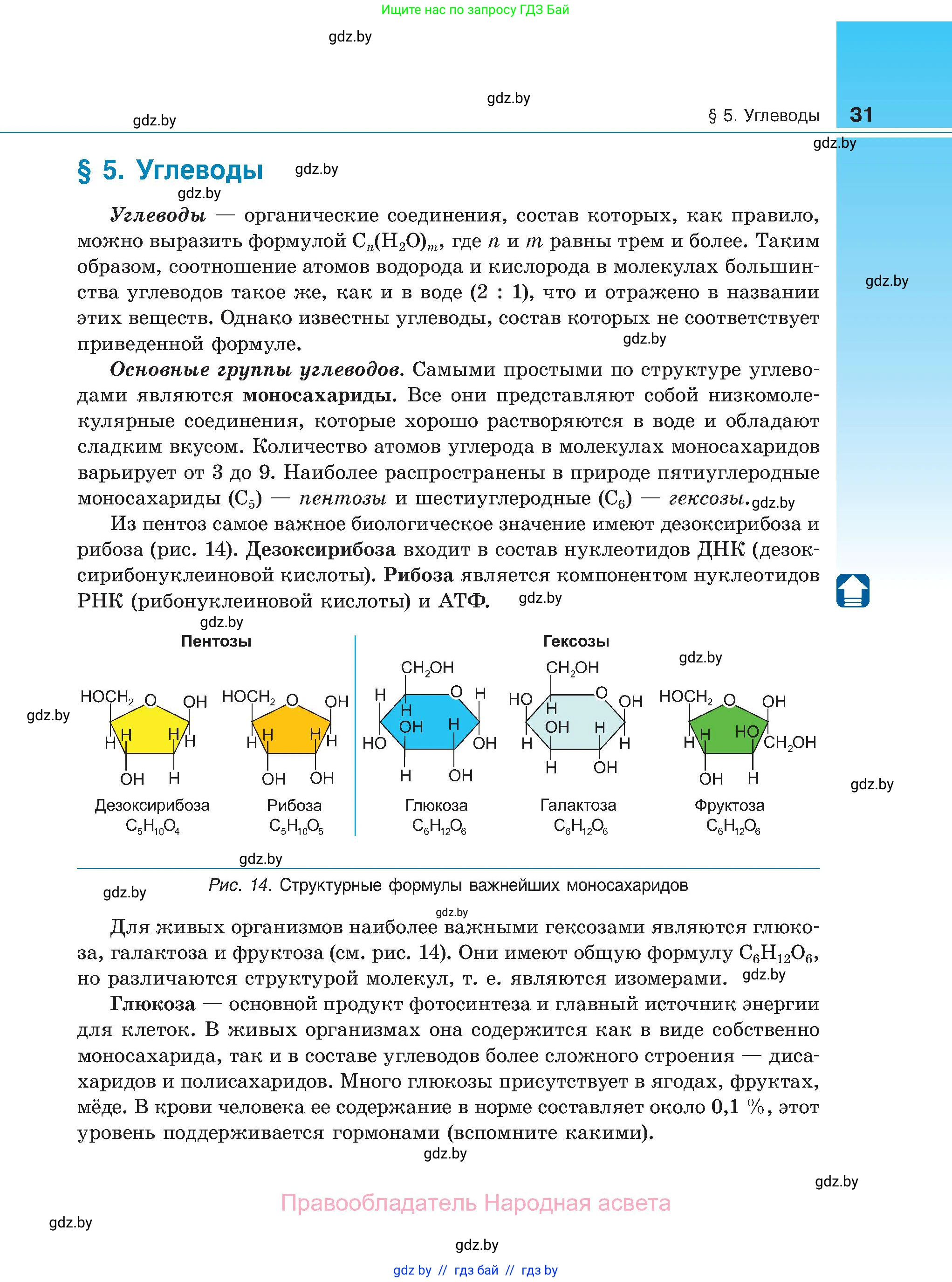 Биология, 11 класс Учебник, авторы: Дашков Максим Леонидович, Песнякевич Александр Георгиевич, Головач Алексей Михайлович, издательство Народная асвета, Минск, 2021, голубого цвета, страница 31