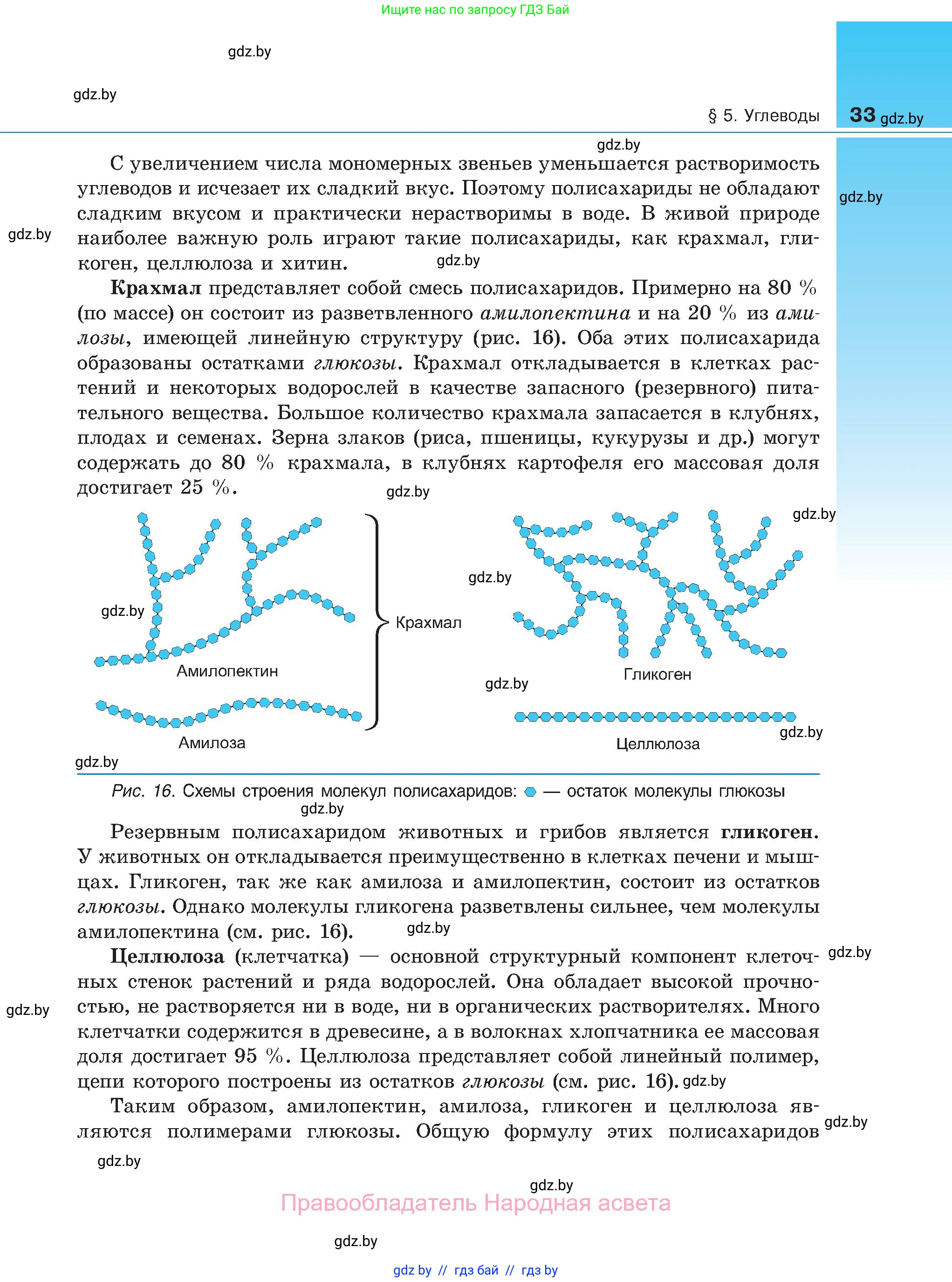 Биология, 11 класс Учебник, авторы: Дашков Максим Леонидович, Песнякевич Александр Георгиевич, Головач Алексей Михайлович, издательство Народная асвета, Минск, 2021, голубого цвета, страница 33