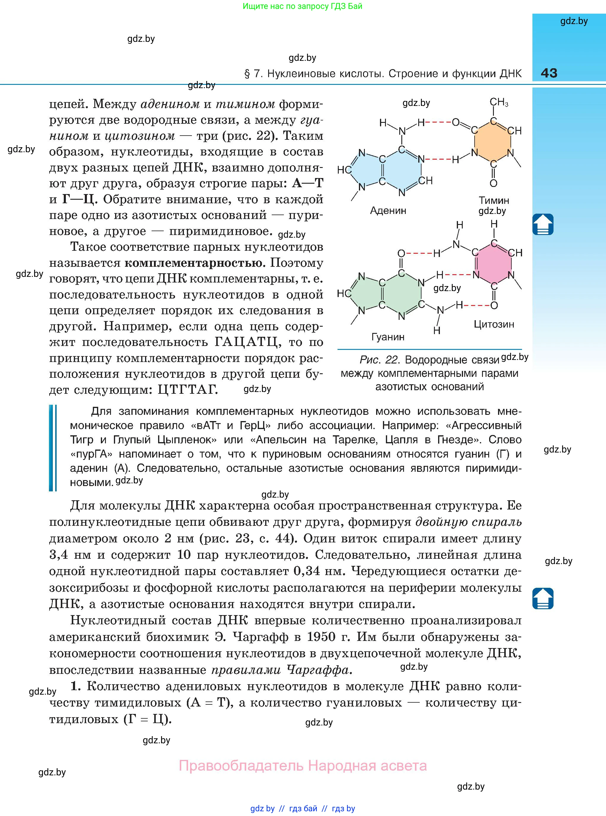 Биология, 11 класс Учебник, авторы: Дашков Максим Леонидович, Песнякевич Александр Георгиевич, Головач Алексей Михайлович, издательство Народная асвета, Минск, 2021, голубого цвета, страница 43