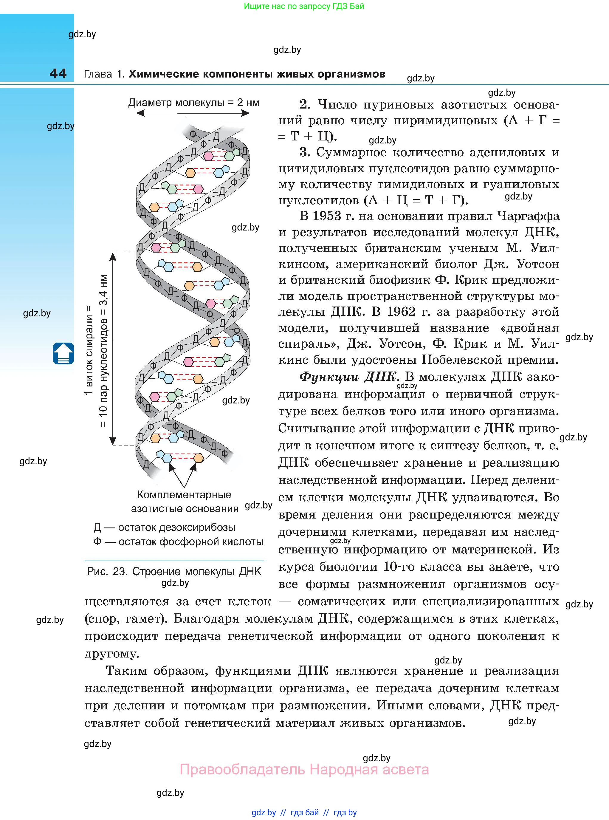 Биология, 11 класс Учебник, авторы: Дашков Максим Леонидович, Песнякевич Александр Георгиевич, Головач Алексей Михайлович, издательство Народная асвета, Минск, 2021, голубого цвета, страница 44