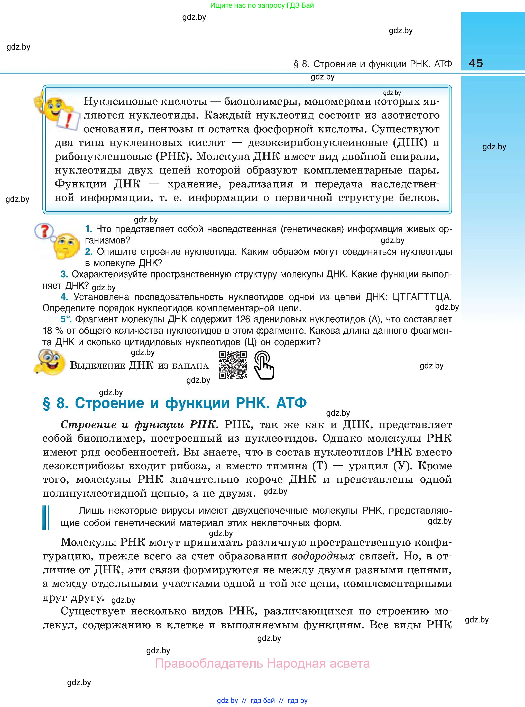 Биология, 11 класс Учебник, авторы: Дашков Максим Леонидович, Песнякевич Александр Георгиевич, Головач Алексей Михайлович, издательство Народная асвета, Минск, 2021, голубого цвета, страница 45