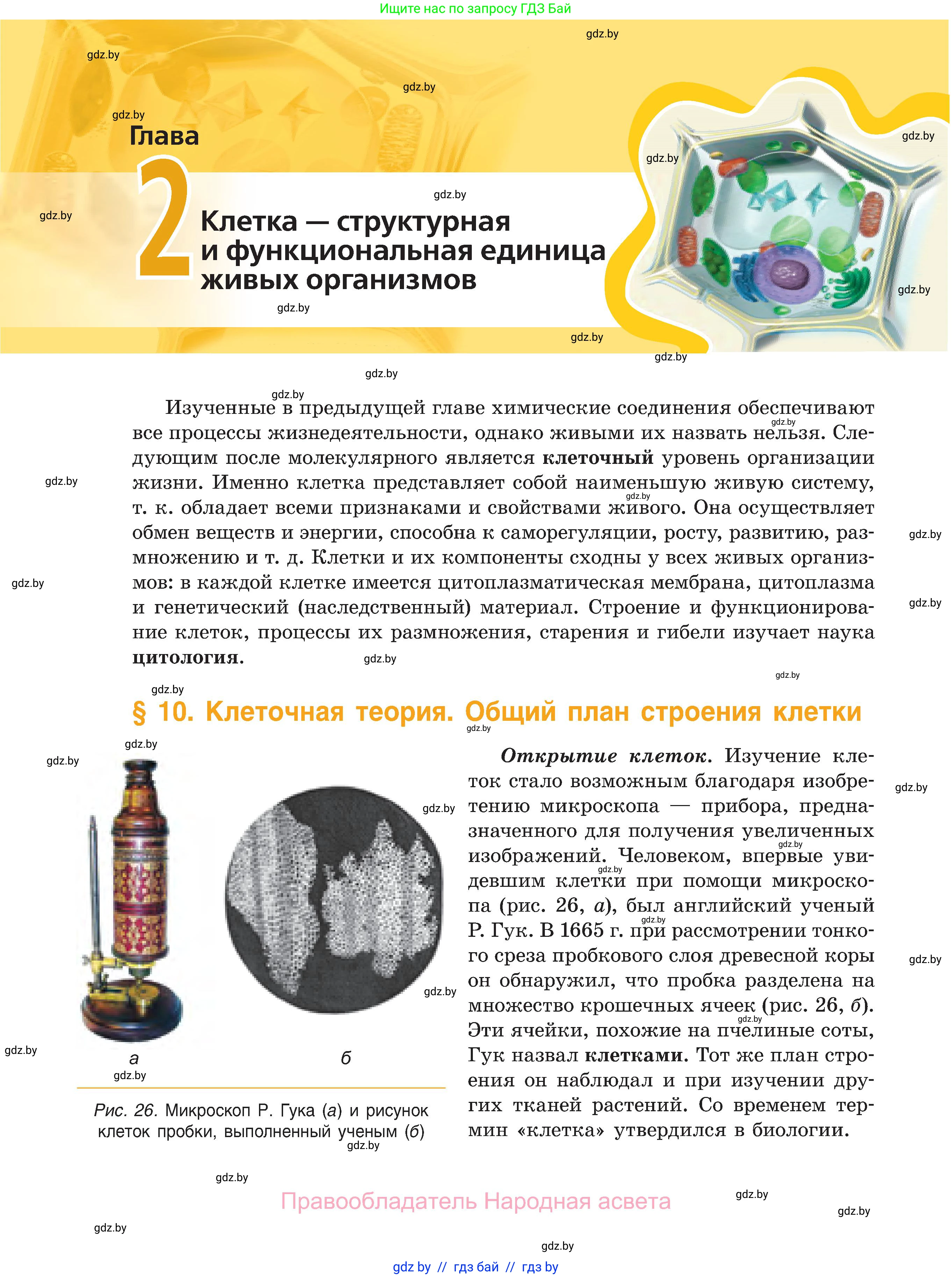 Биология, 11 класс Учебник, авторы: Дашков Максим Леонидович, Песнякевич Александр Георгиевич, Головач Алексей Михайлович, издательство Народная асвета, Минск, 2021, голубого цвета, страница 54