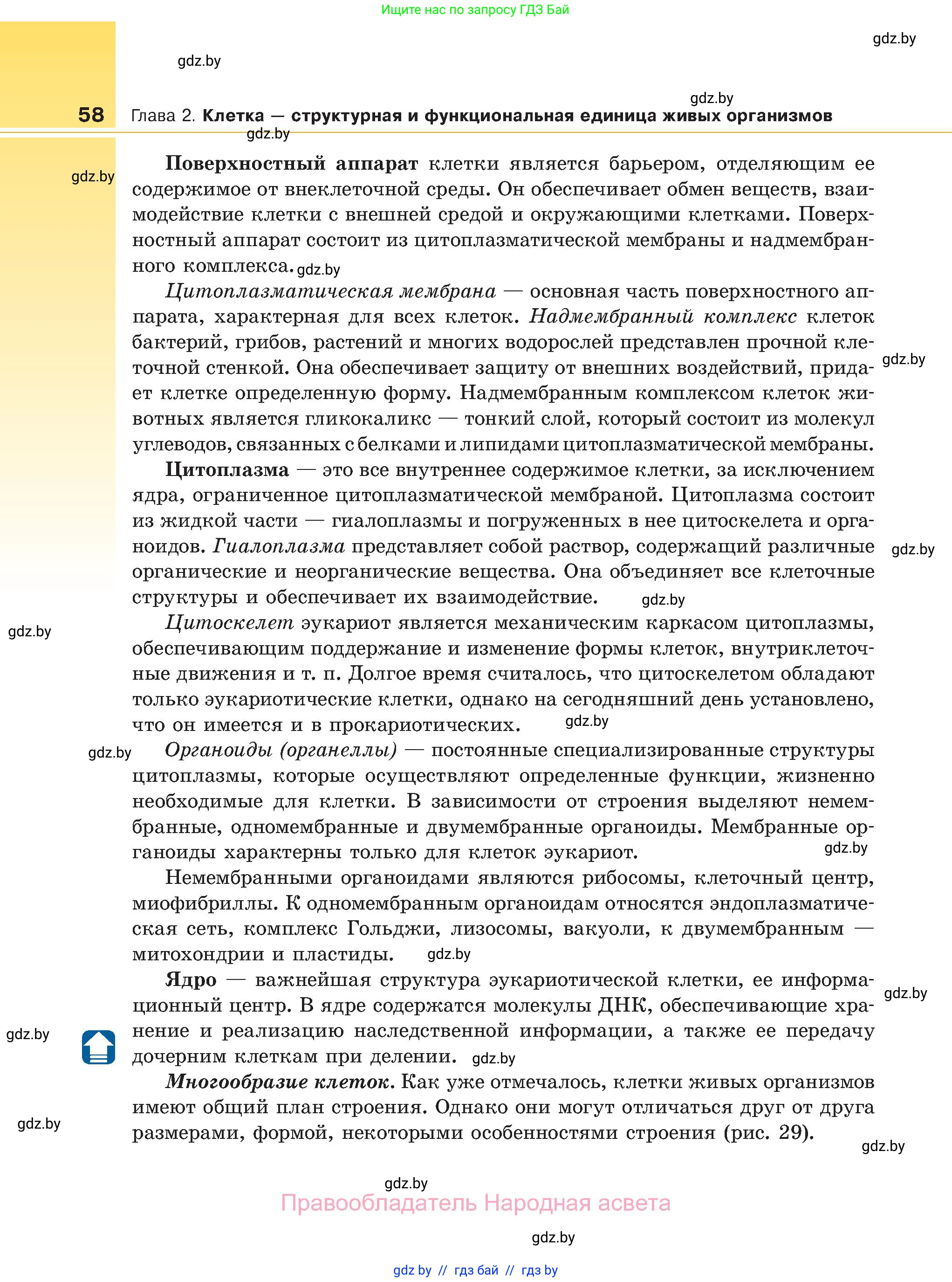 Биология, 11 класс Учебник, авторы: Дашков Максим Леонидович, Песнякевич Александр Георгиевич, Головач Алексей Михайлович, издательство Народная асвета, Минск, 2021, голубого цвета, страница 58