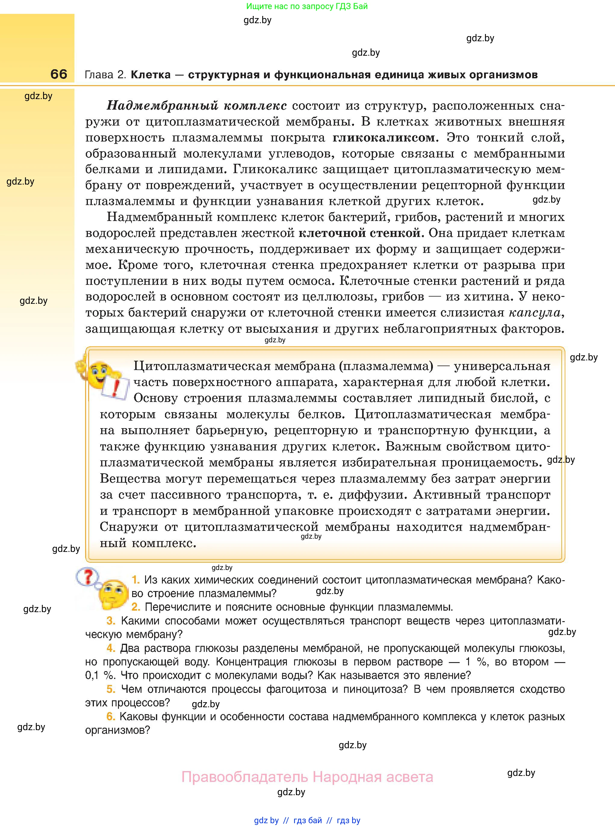 Биология, 11 класс Учебник, авторы: Дашков Максим Леонидович, Песнякевич Александр Георгиевич, Головач Алексей Михайлович, издательство Народная асвета, Минск, 2021, голубого цвета, страница 66