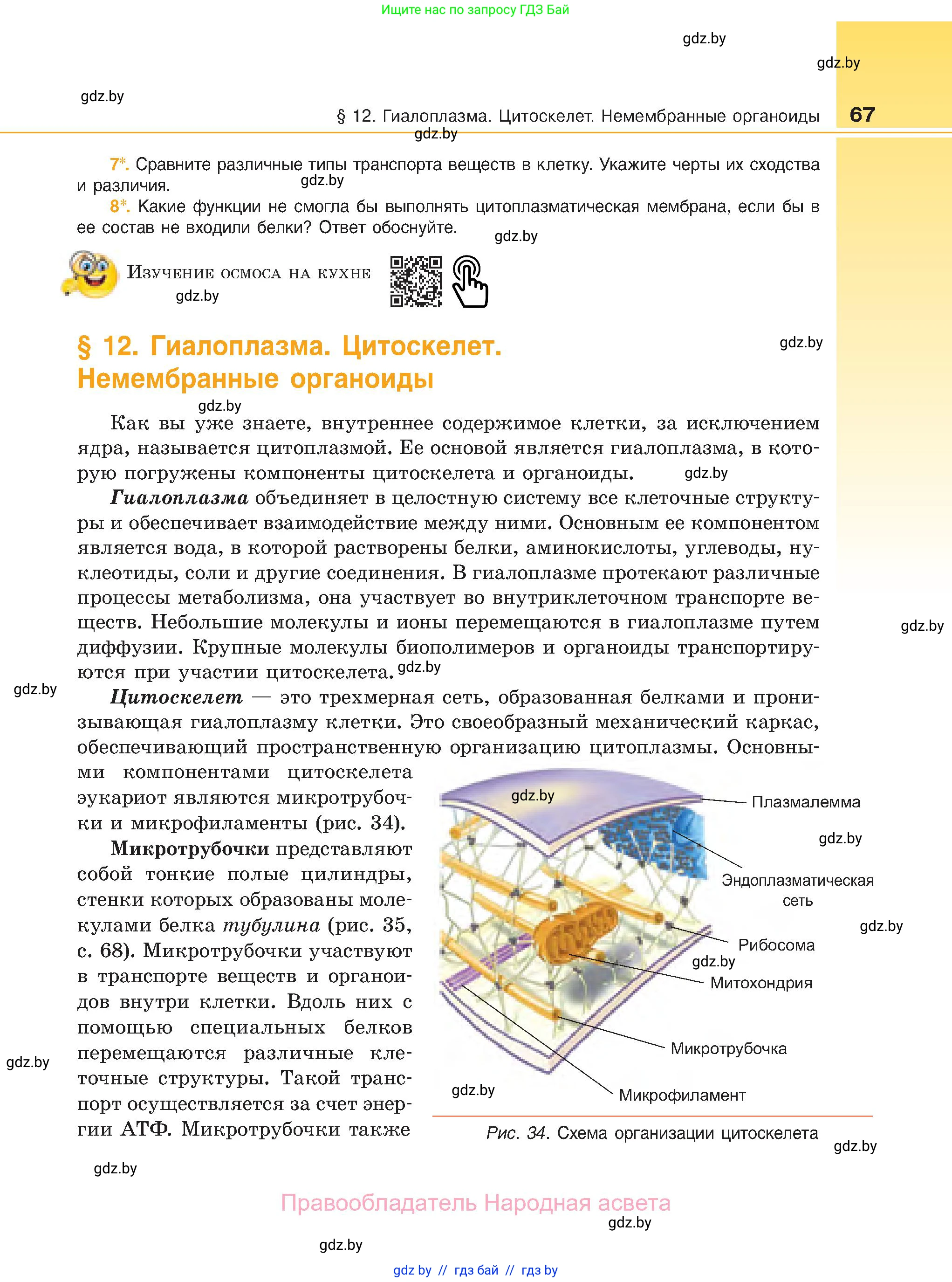 Биология, 11 класс Учебник, авторы: Дашков Максим Леонидович, Песнякевич Александр Георгиевич, Головач Алексей Михайлович, издательство Народная асвета, Минск, 2021, голубого цвета, страница 67