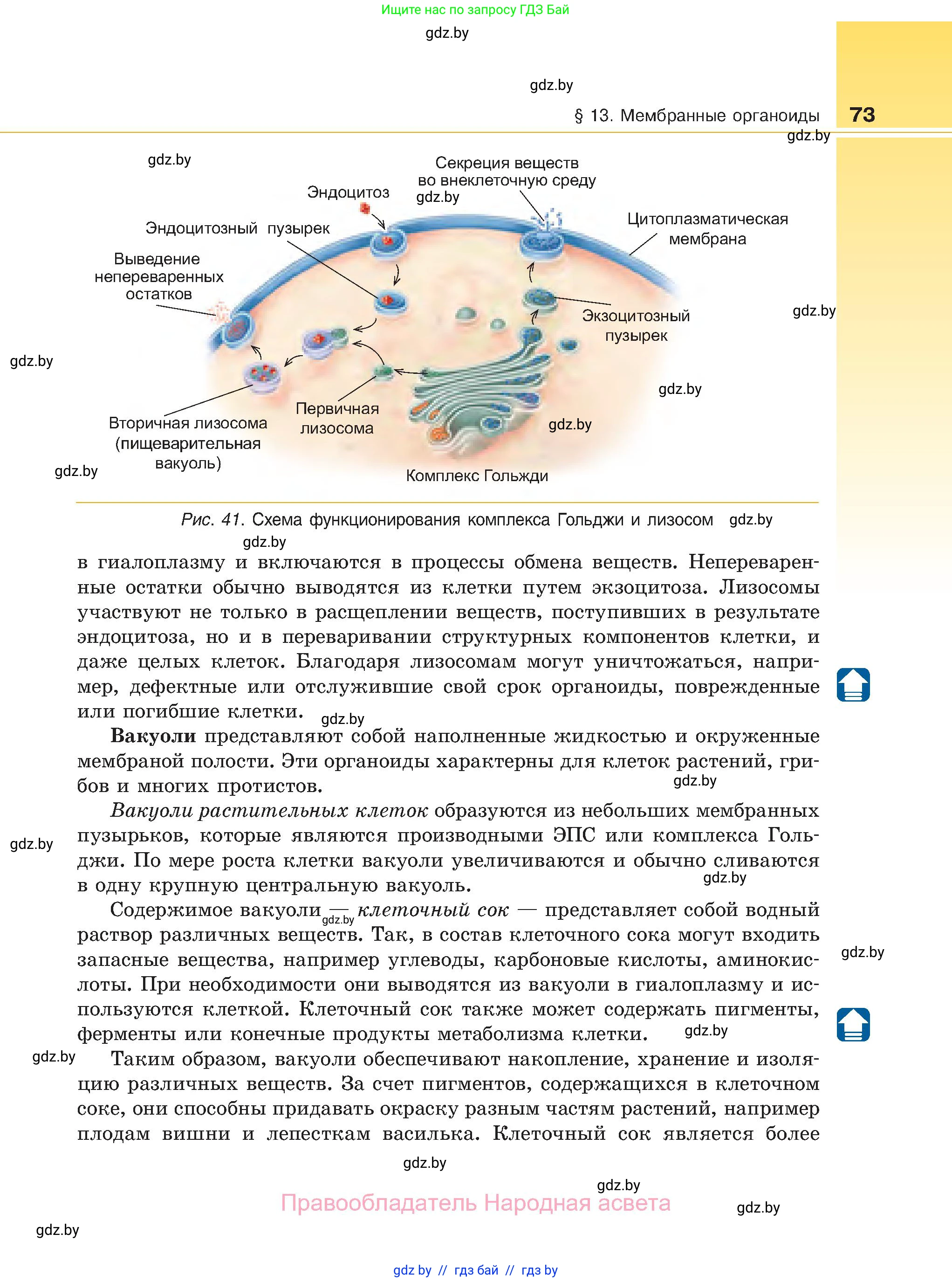 Биология, 11 класс Учебник, авторы: Дашков Максим Леонидович, Песнякевич Александр Георгиевич, Головач Алексей Михайлович, издательство Народная асвета, Минск, 2021, голубого цвета, страница 73