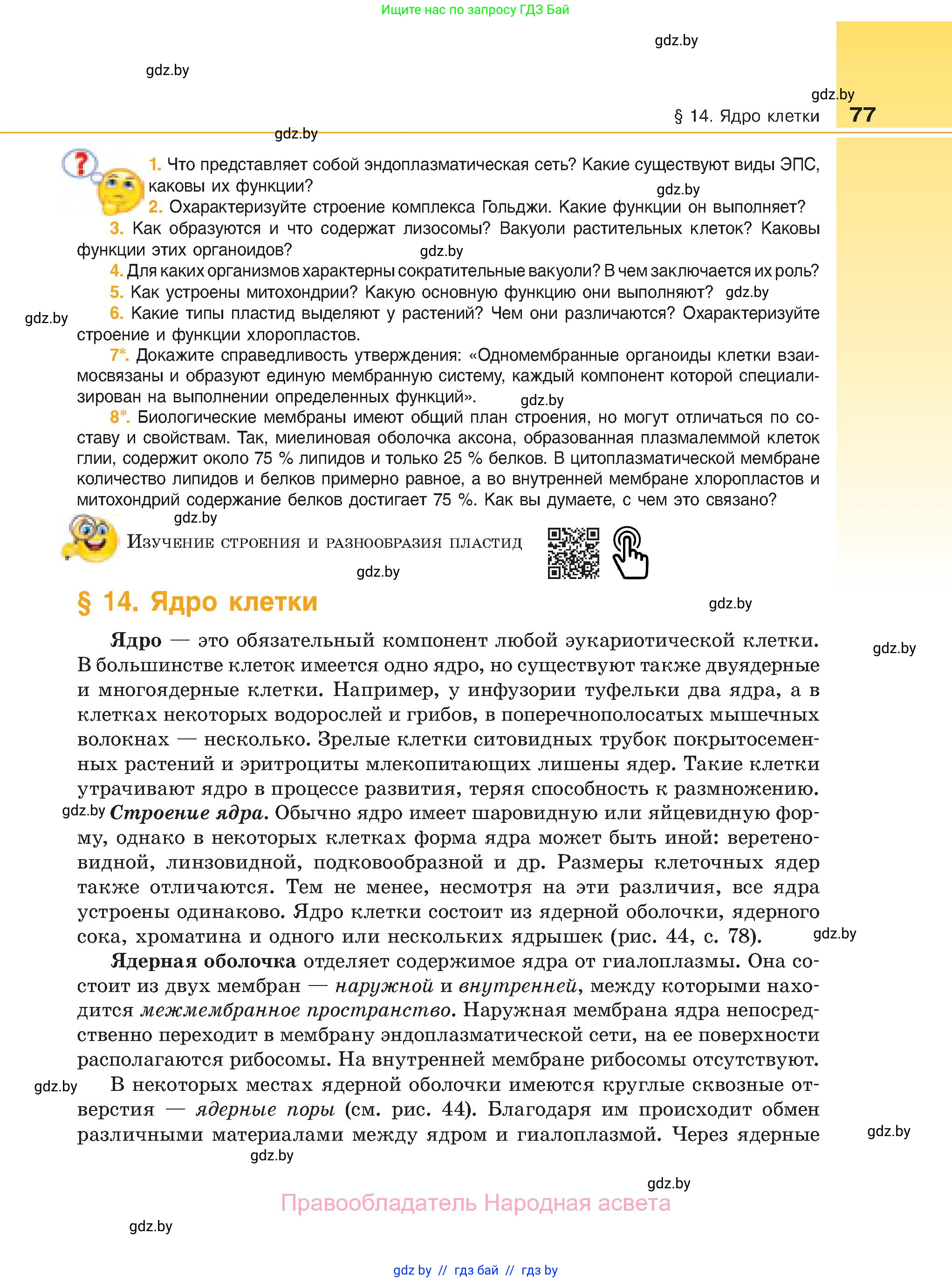 Биология, 11 класс Учебник, авторы: Дашков Максим Леонидович, Песнякевич Александр Георгиевич, Головач Алексей Михайлович, издательство Народная асвета, Минск, 2021, голубого цвета, страница 77