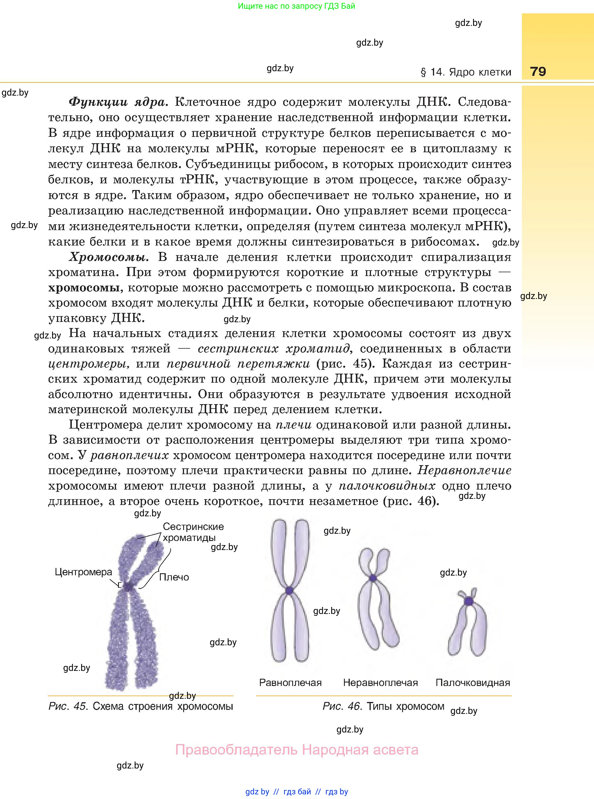 Биология, 11 класс Учебник, авторы: Дашков Максим Леонидович, Песнякевич Александр Георгиевич, Головач Алексей Михайлович, издательство Народная асвета, Минск, 2021, голубого цвета, страница 79