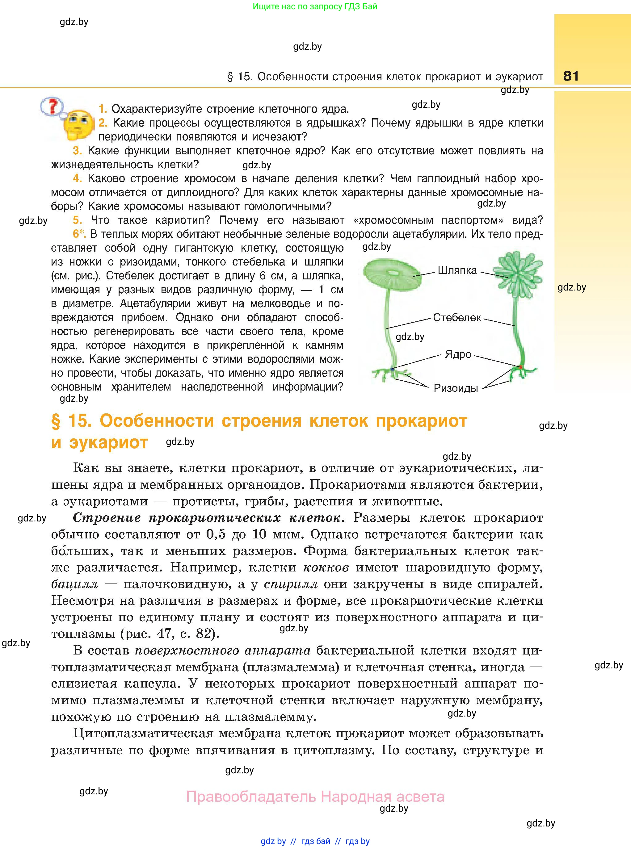 Биология, 11 класс Учебник, авторы: Дашков Максим Леонидович, Песнякевич Александр Георгиевич, Головач Алексей Михайлович, издательство Народная асвета, Минск, 2021, голубого цвета, страница 81