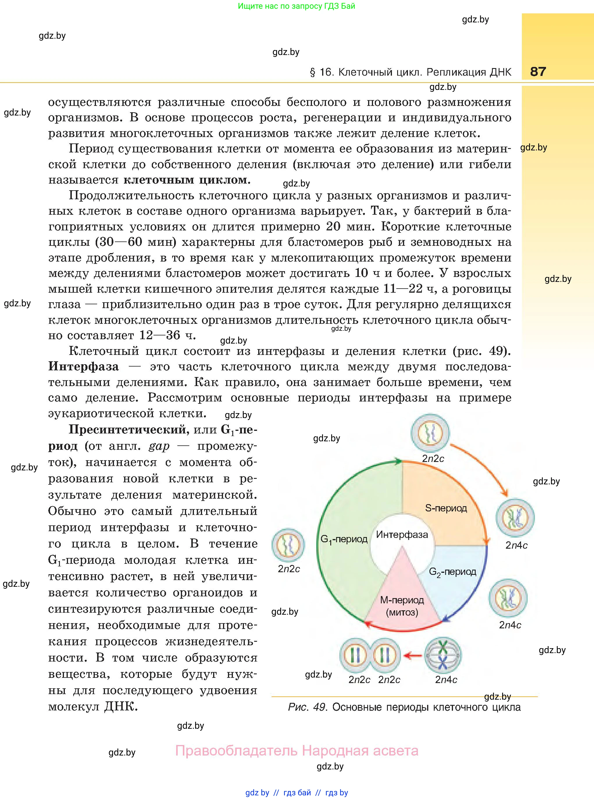 Биология, 11 класс Учебник, авторы: Дашков Максим Леонидович, Песнякевич Александр Георгиевич, Головач Алексей Михайлович, издательство Народная асвета, Минск, 2021, голубого цвета, страница 87