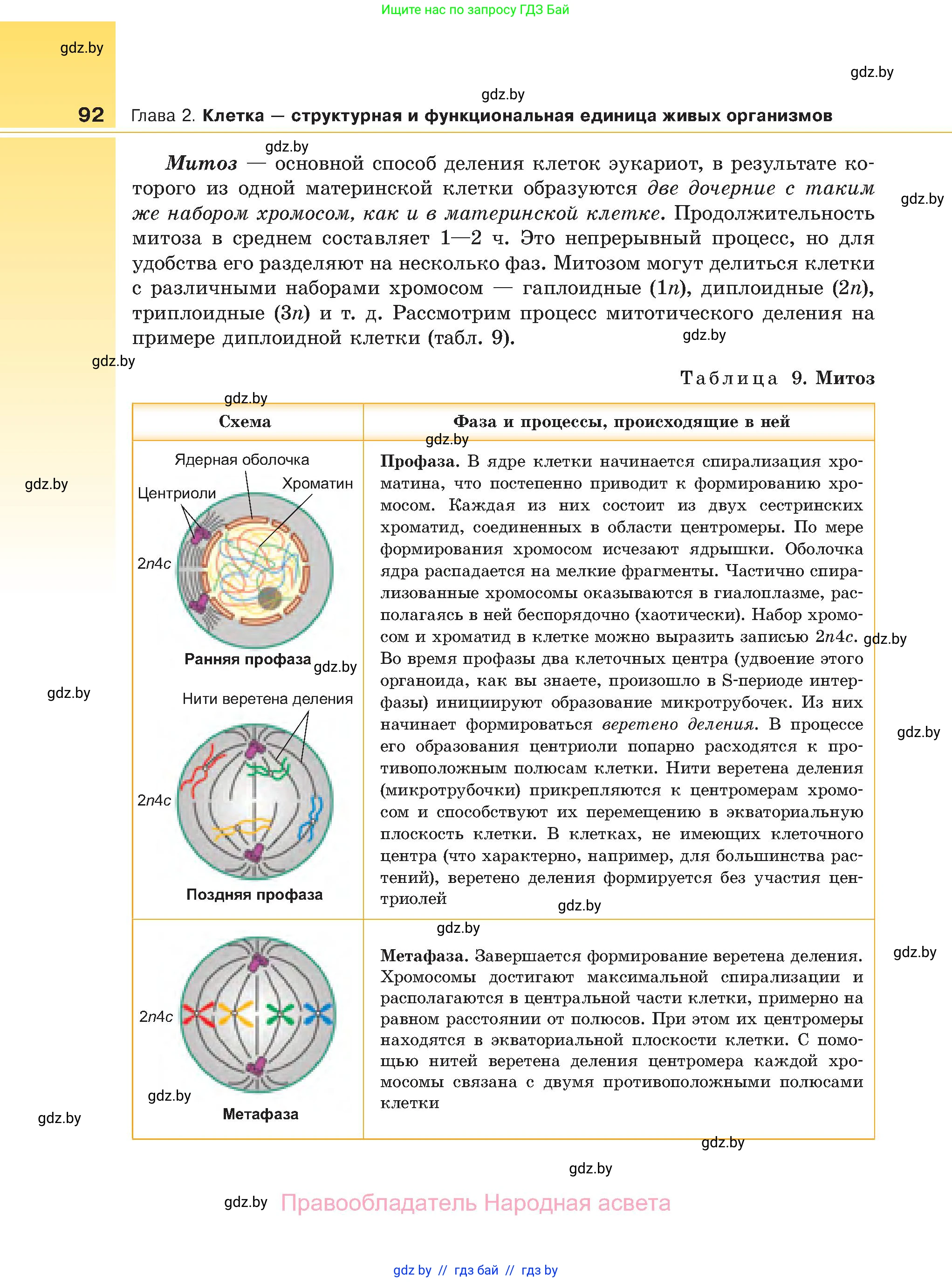 Биология, 11 класс Учебник, авторы: Дашков Максим Леонидович, Песнякевич Александр Георгиевич, Головач Алексей Михайлович, издательство Народная асвета, Минск, 2021, голубого цвета, страница 92