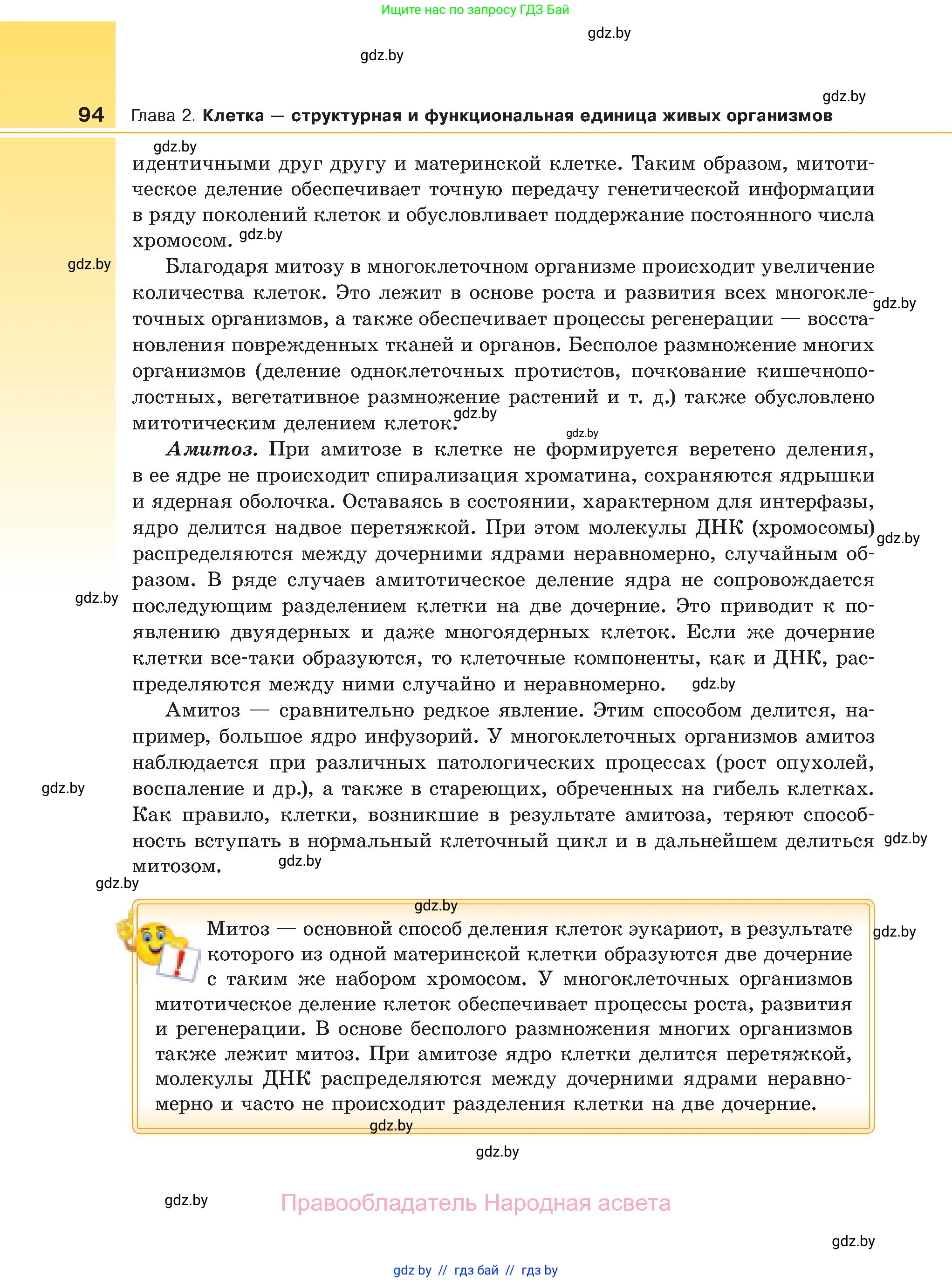 Биология, 11 класс Учебник, авторы: Дашков Максим Леонидович, Песнякевич Александр Георгиевич, Головач Алексей Михайлович, издательство Народная асвета, Минск, 2021, голубого цвета, страница 94