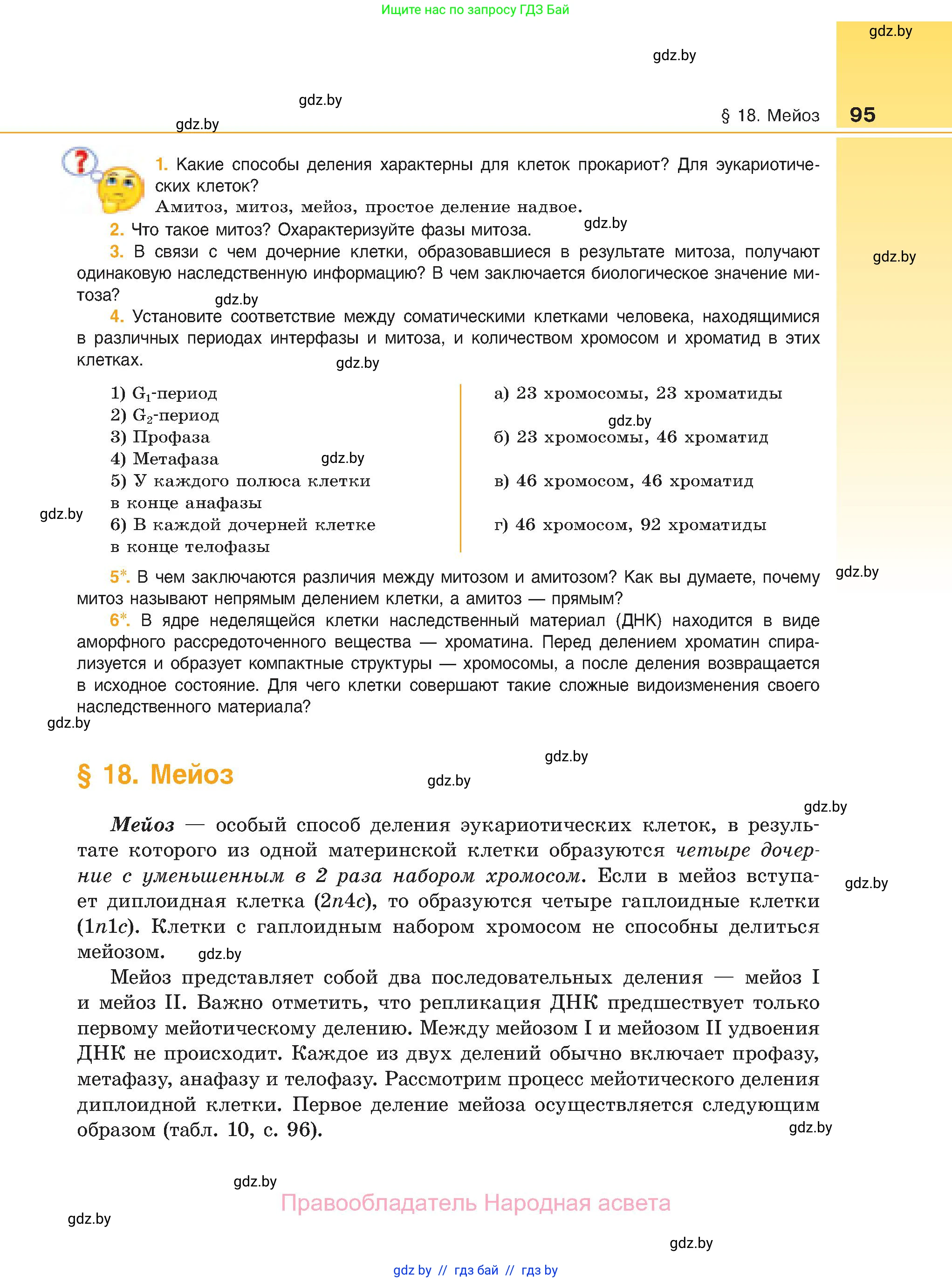 Биология, 11 класс Учебник, авторы: Дашков Максим Леонидович, Песнякевич Александр Георгиевич, Головач Алексей Михайлович, издательство Народная асвета, Минск, 2021, голубого цвета, страница 95