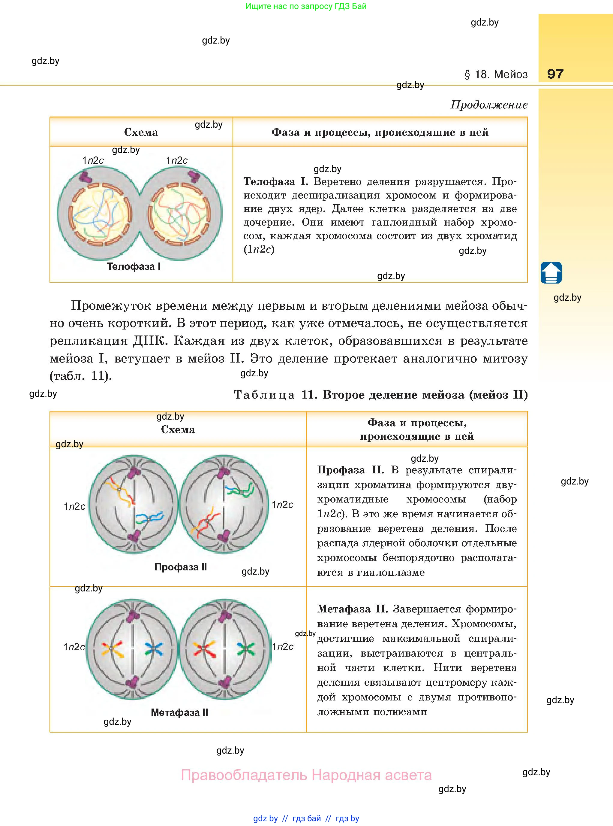 Биология, 11 класс Учебник, авторы: Дашков Максим Леонидович, Песнякевич Александр Георгиевич, Головач Алексей Михайлович, издательство Народная асвета, Минск, 2021, голубого цвета, страница 97