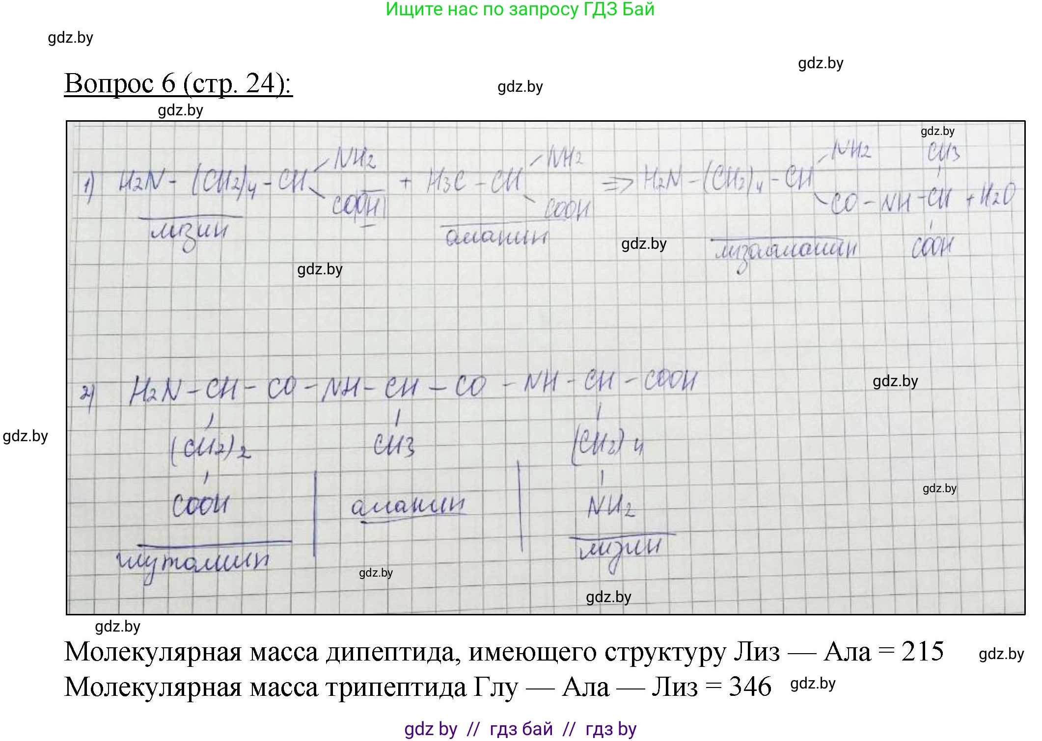 Биология, 11 класс Учебник, авторы: Дашков Максим Леонидович, Песнякевич Александр Георгиевич, Головач Алексей Михайлович, издательство Народная асвета, Минск, 2021, голубого цвета, страница 24, номер 6, Решение