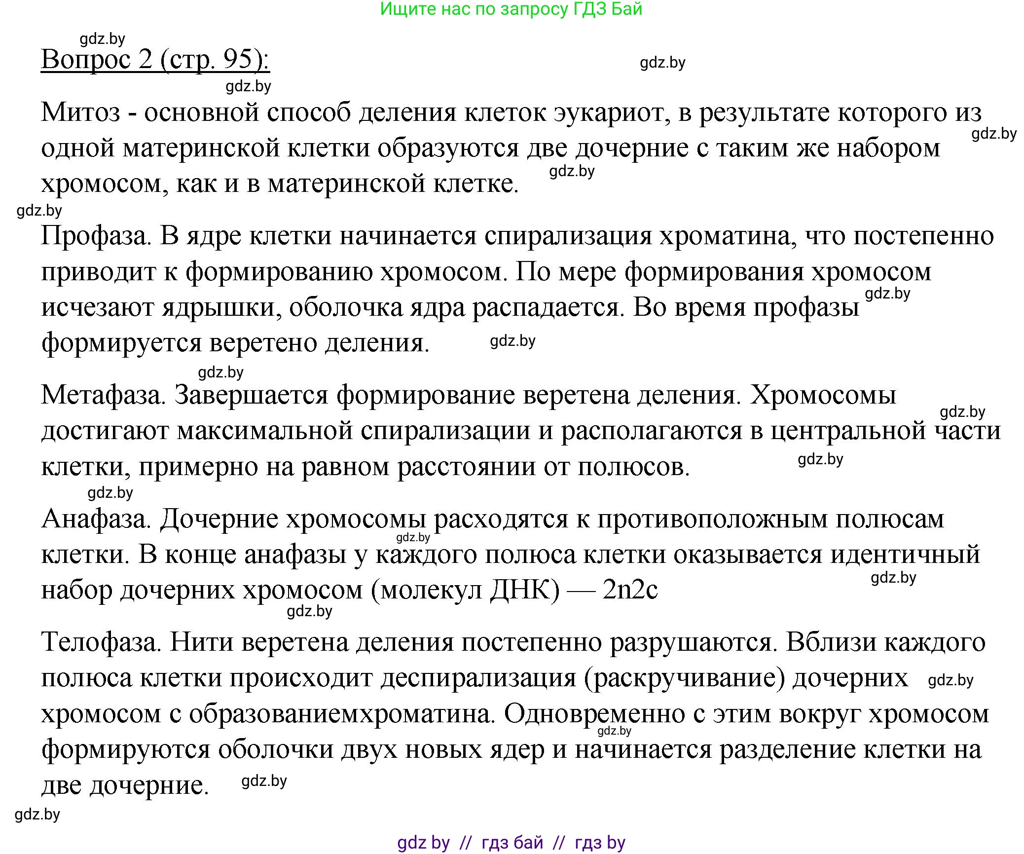 Биология, 11 класс Учебник, авторы: Дашков Максим Леонидович, Песнякевич Александр Георгиевич, Головач Алексей Михайлович, издательство Народная асвета, Минск, 2021, голубого цвета, страница 95, номер 2, Решение