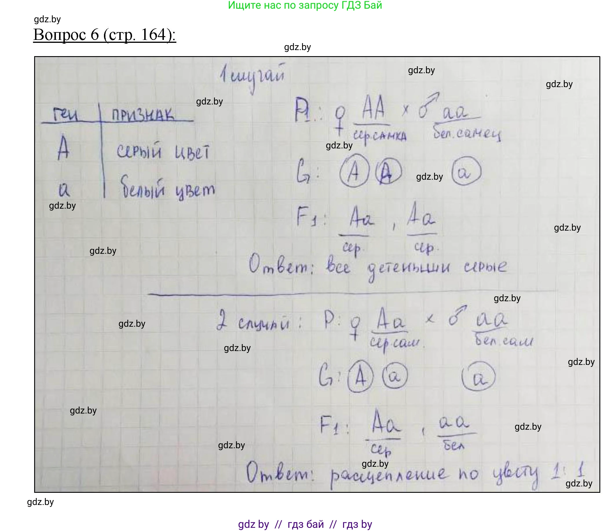 Биология, 11 класс Учебник, авторы: Дашков Максим Леонидович, Песнякевич Александр Георгиевич, Головач Алексей Михайлович, издательство Народная асвета, Минск, 2021, голубого цвета, страница 164, номер 6, Решение