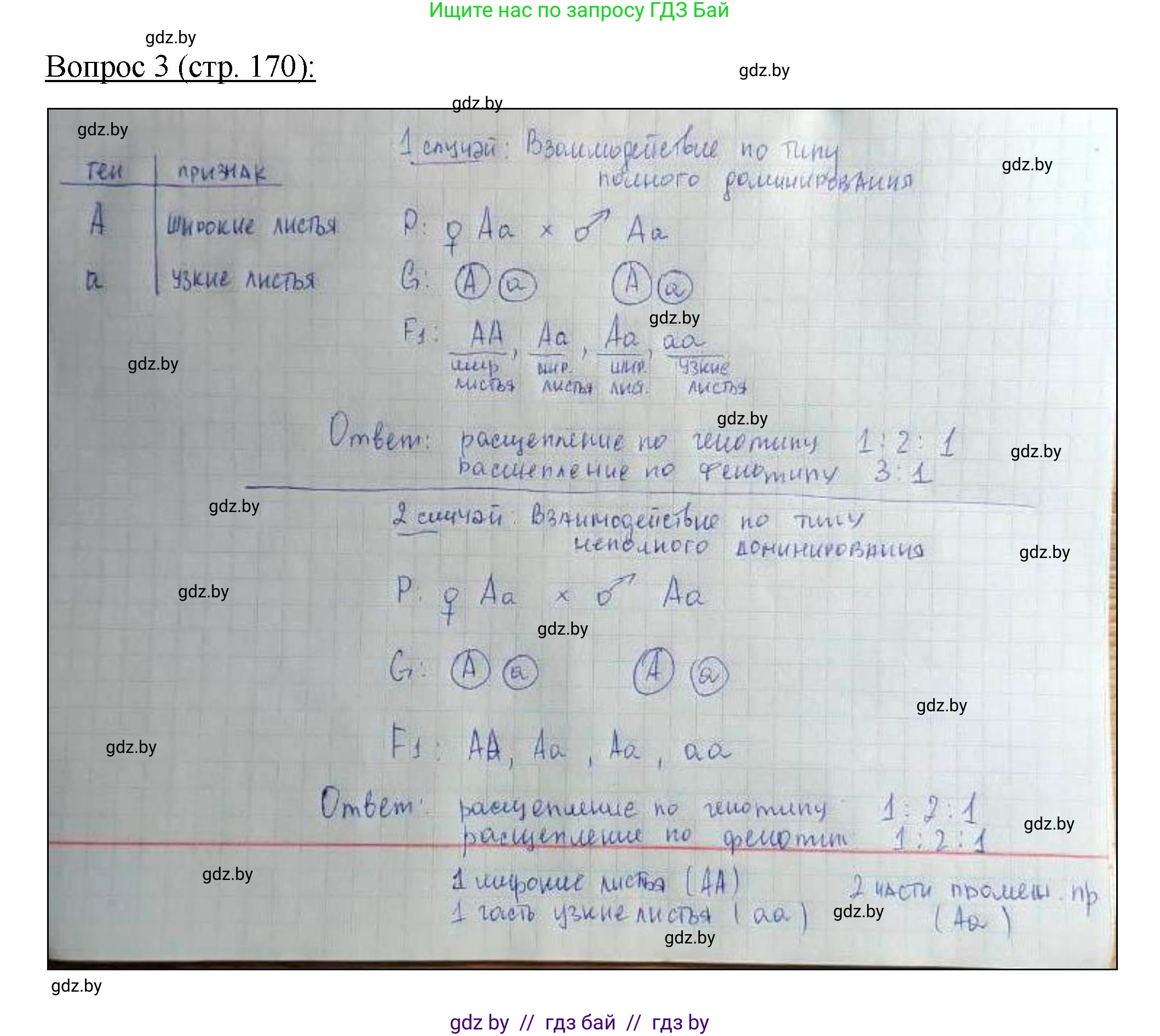 Биология, 11 класс Учебник, авторы: Дашков Максим Леонидович, Песнякевич Александр Георгиевич, Головач Алексей Михайлович, издательство Народная асвета, Минск, 2021, голубого цвета, страница 170, номер 3, Решение
