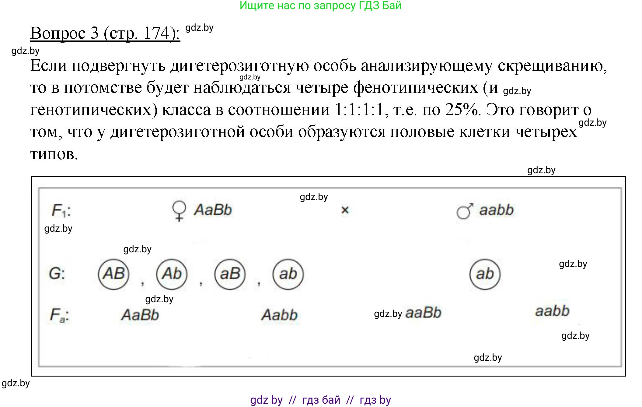 Биология, 11 класс Учебник, авторы: Дашков Максим Леонидович, Песнякевич Александр Георгиевич, Головач Алексей Михайлович, издательство Народная асвета, Минск, 2021, голубого цвета, страница 174, номер 3, Решение