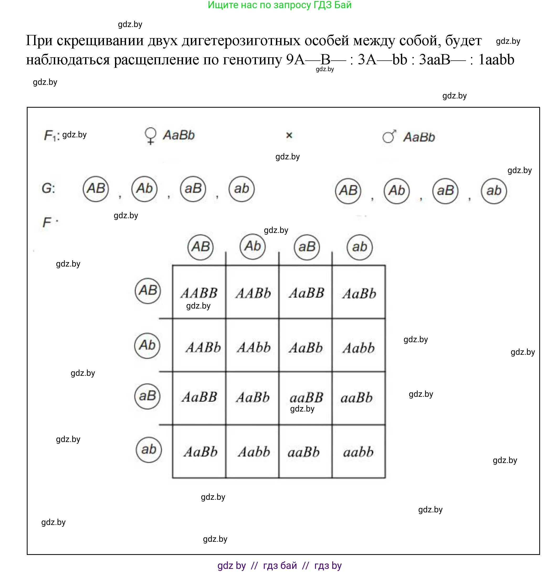 Биология, 11 класс Учебник, авторы: Дашков Максим Леонидович, Песнякевич Александр Георгиевич, Головач Алексей Михайлович, издательство Народная асвета, Минск, 2021, голубого цвета, страница 174, номер 3, Решение (продолжение 2)