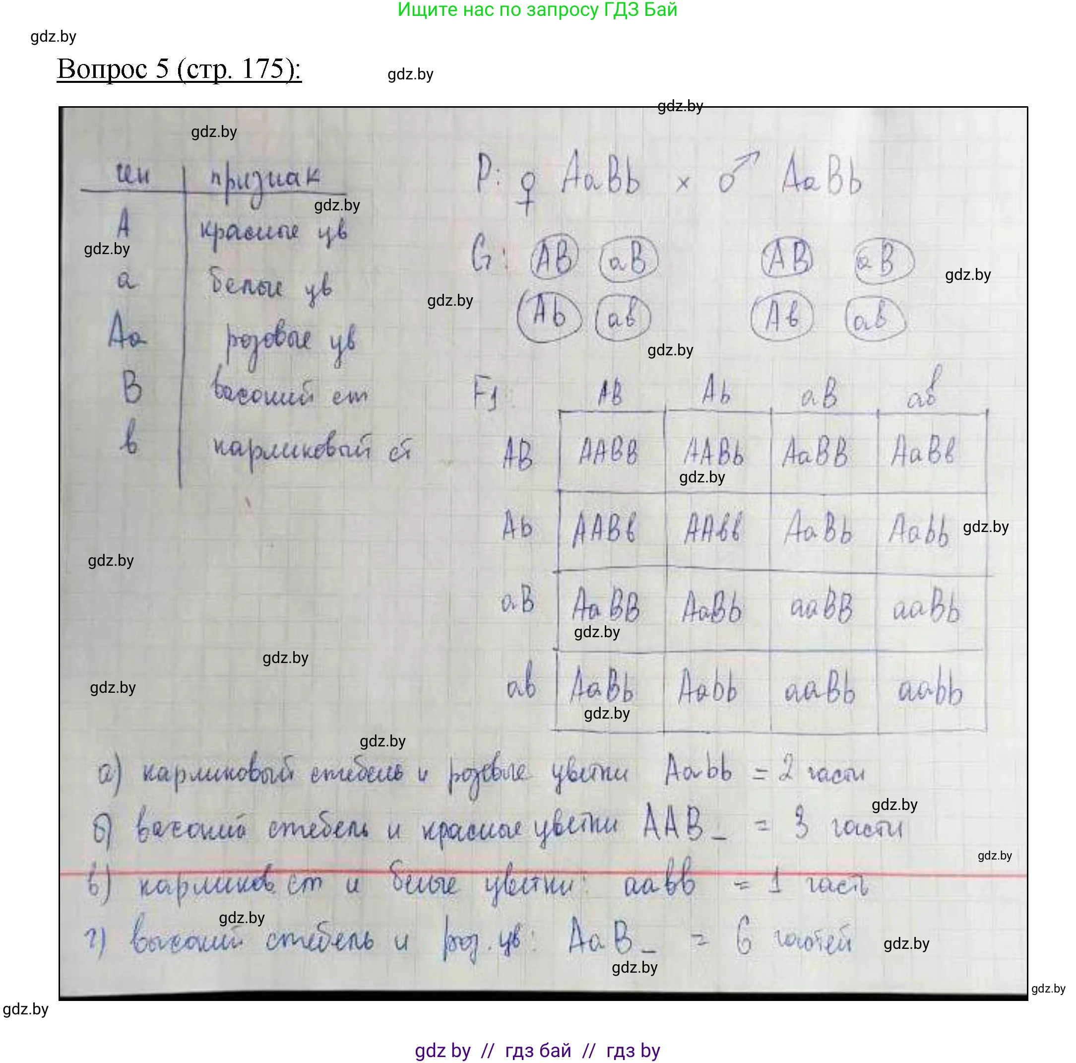 Биология, 11 класс Учебник, авторы: Дашков Максим Леонидович, Песнякевич Александр Георгиевич, Головач Алексей Михайлович, издательство Народная асвета, Минск, 2021, голубого цвета, страница 175, номер 5, Решение